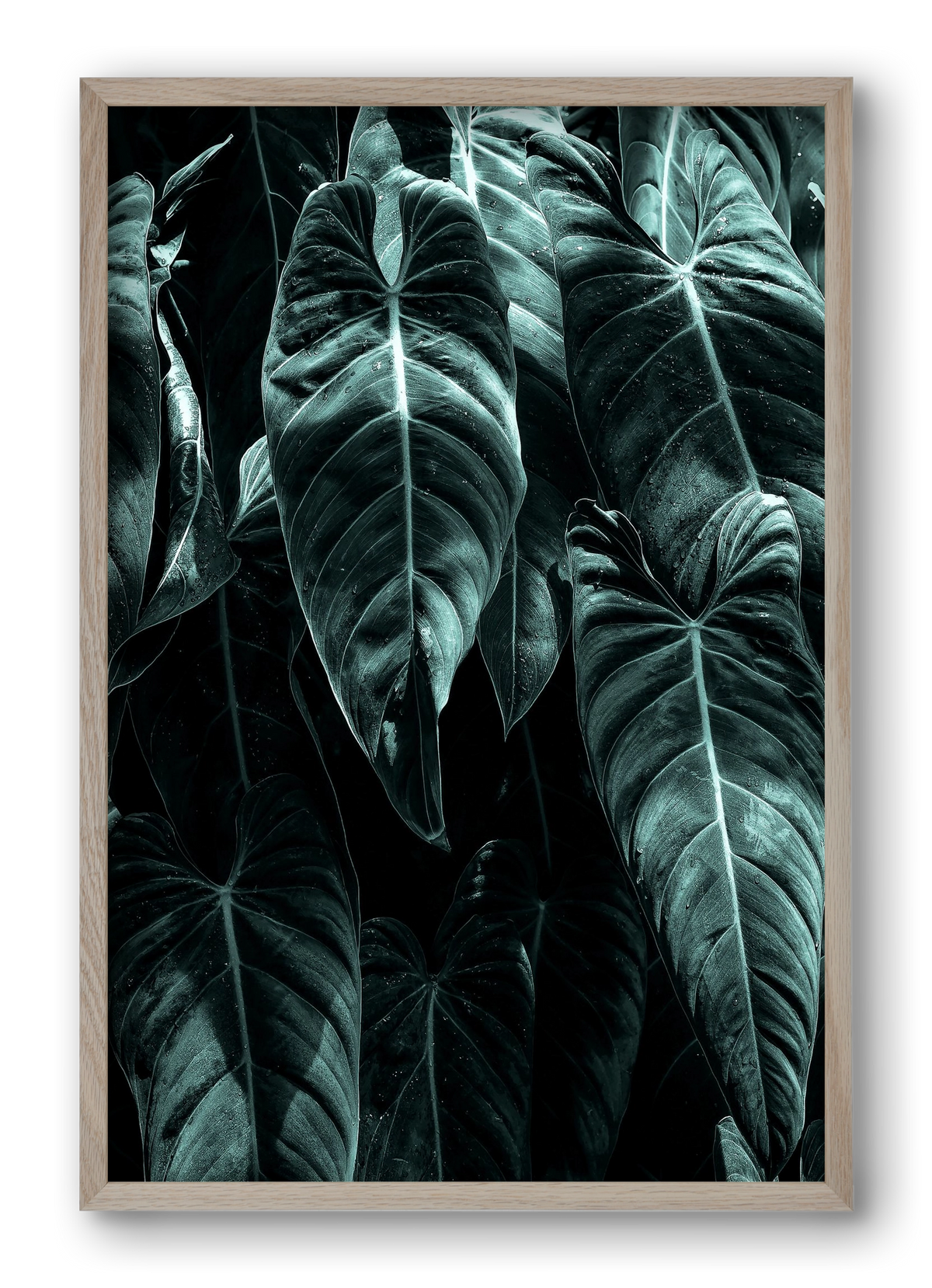 Jungle, 40x60 cm (40x60 cm), Tölgy keret