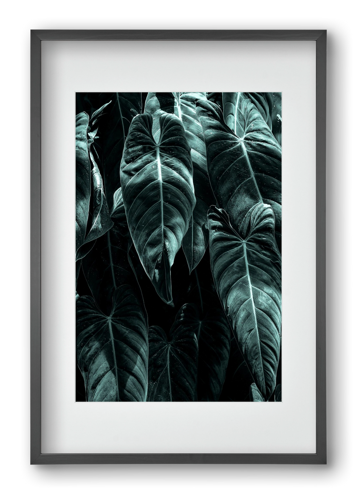 Jungle, 40x60 cm (30x45 cm), Fekete keret, paszpartuval