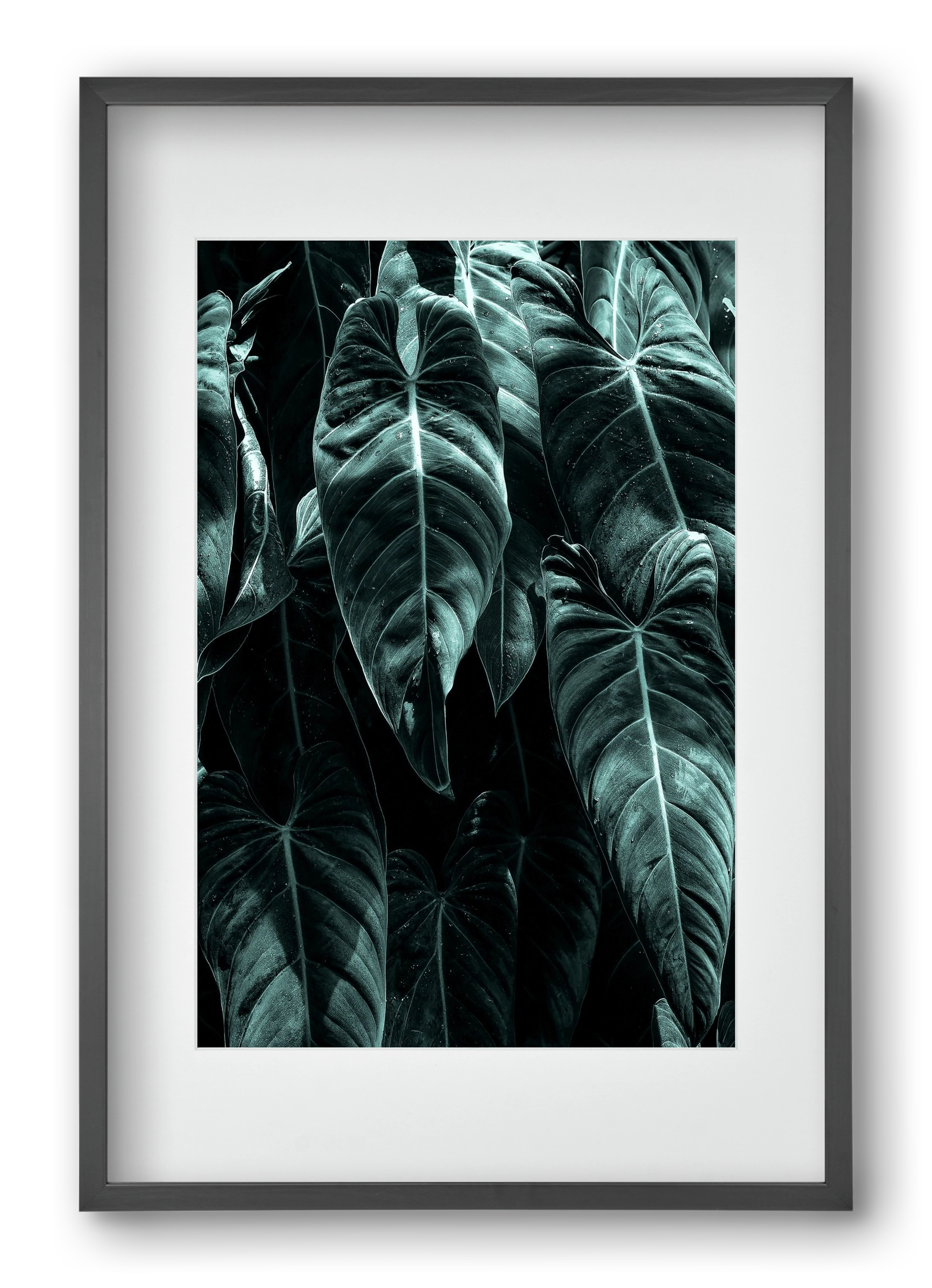 Jungle, 40x60 cm (30x45 cm), Fekete keret, paszpartuval