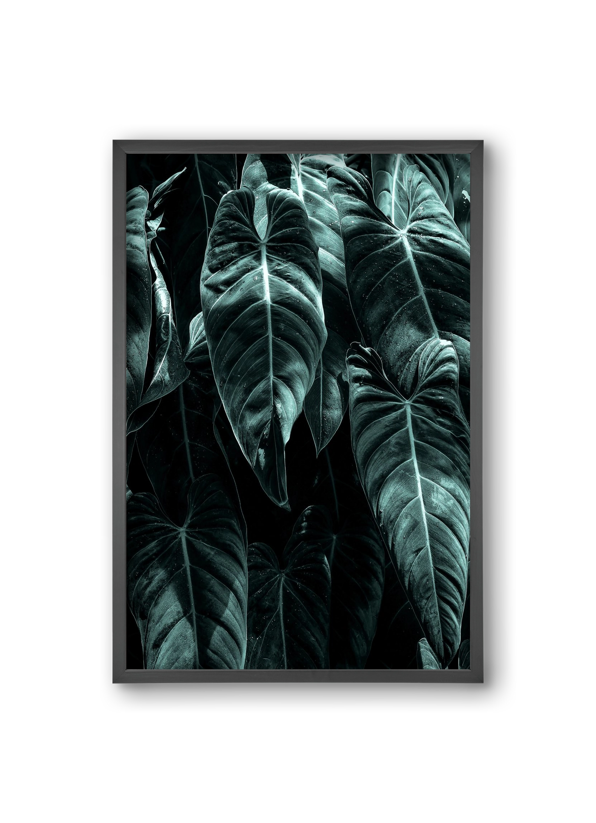 Jungle, 20x30 cm (20x30 cm), Fekete keret