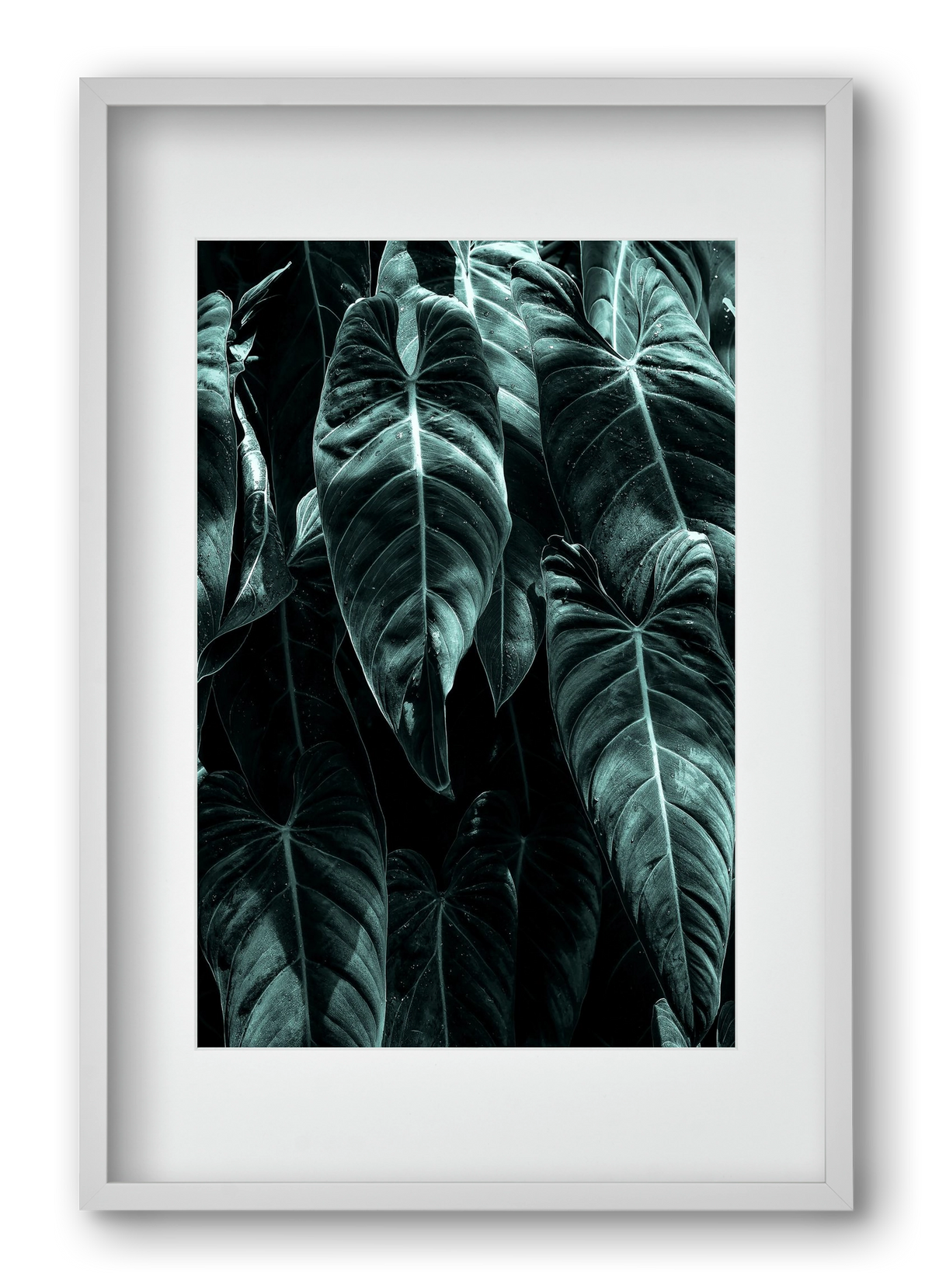 Jungle, 40x60 cm (30x45 cm), Fehér keret, paszpartuval