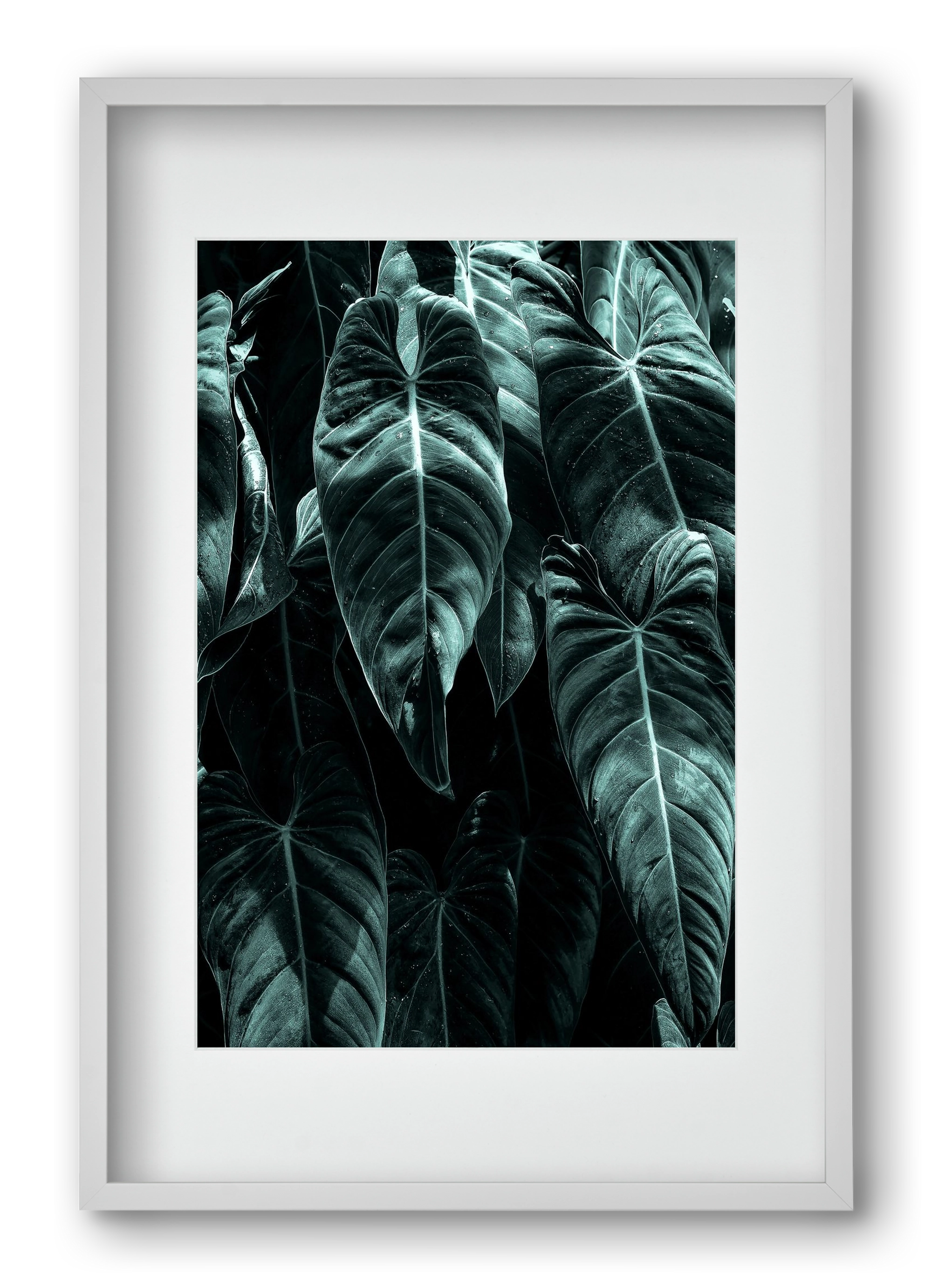 Jungle, 40x60 cm (30x45 cm), Fehér keret, paszpartuval