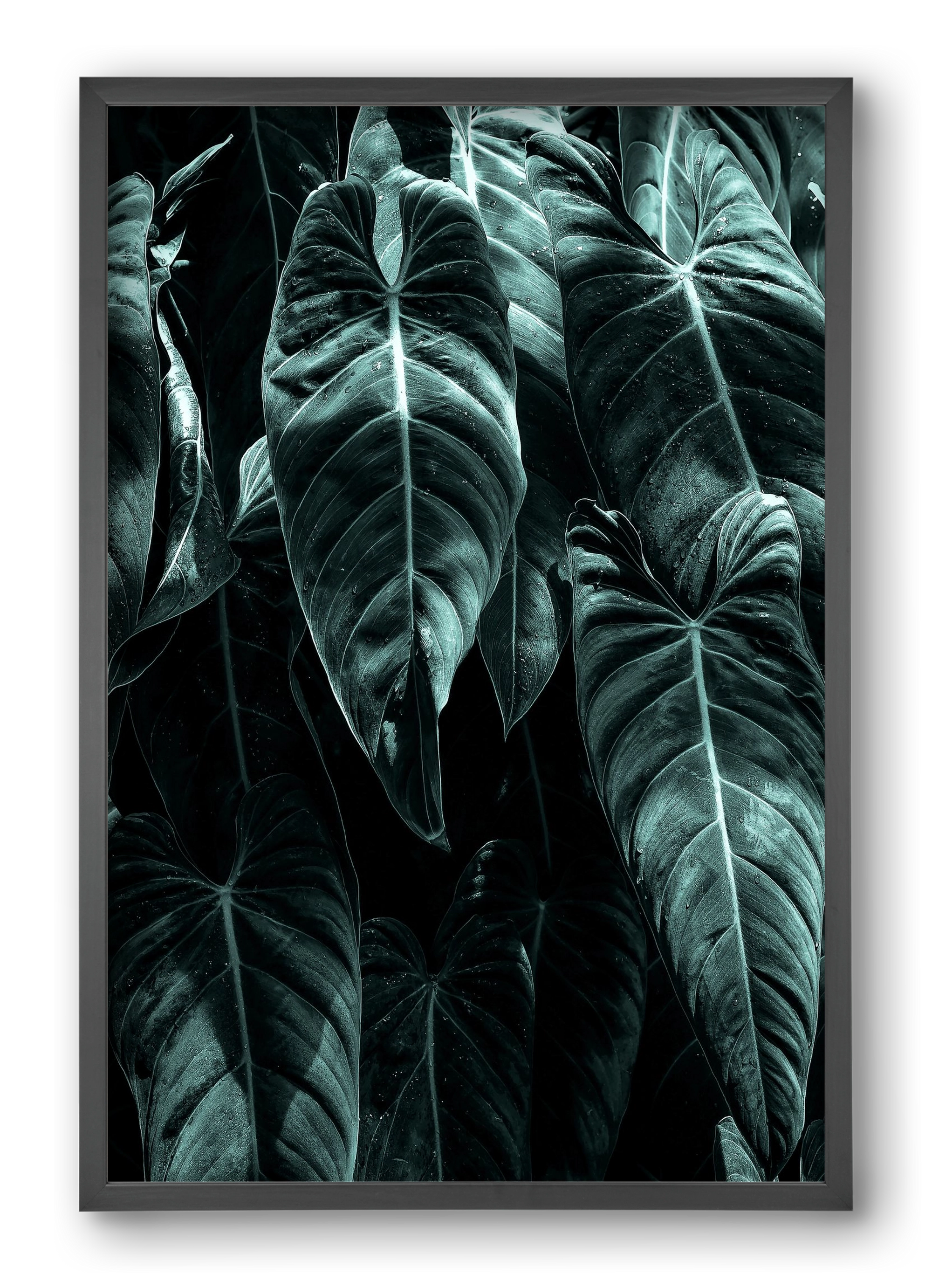 Jungle, 40x60 cm (40x60 cm), Fekete keret