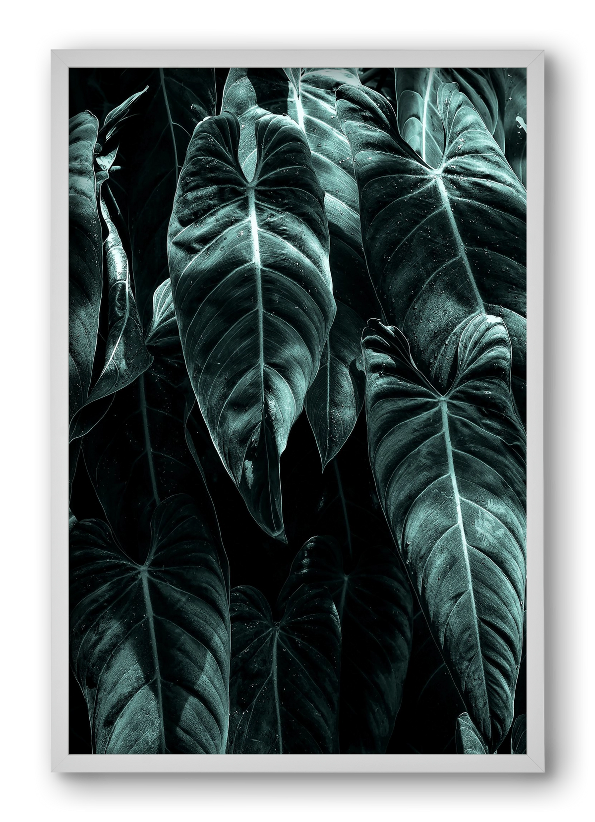 Jungle, 40x60 cm (40x60 cm), Fehér keret