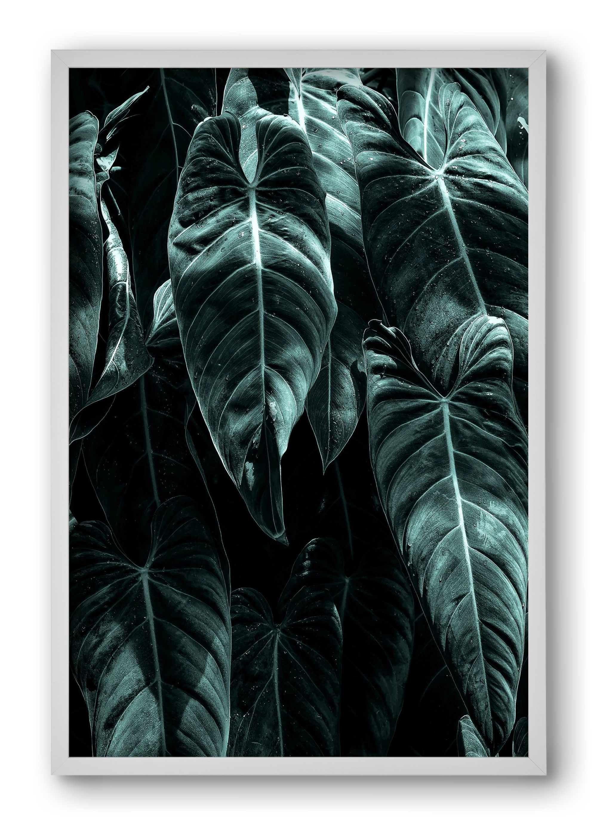 Jungle, 40x60 cm (40x60 cm), Fehér keret