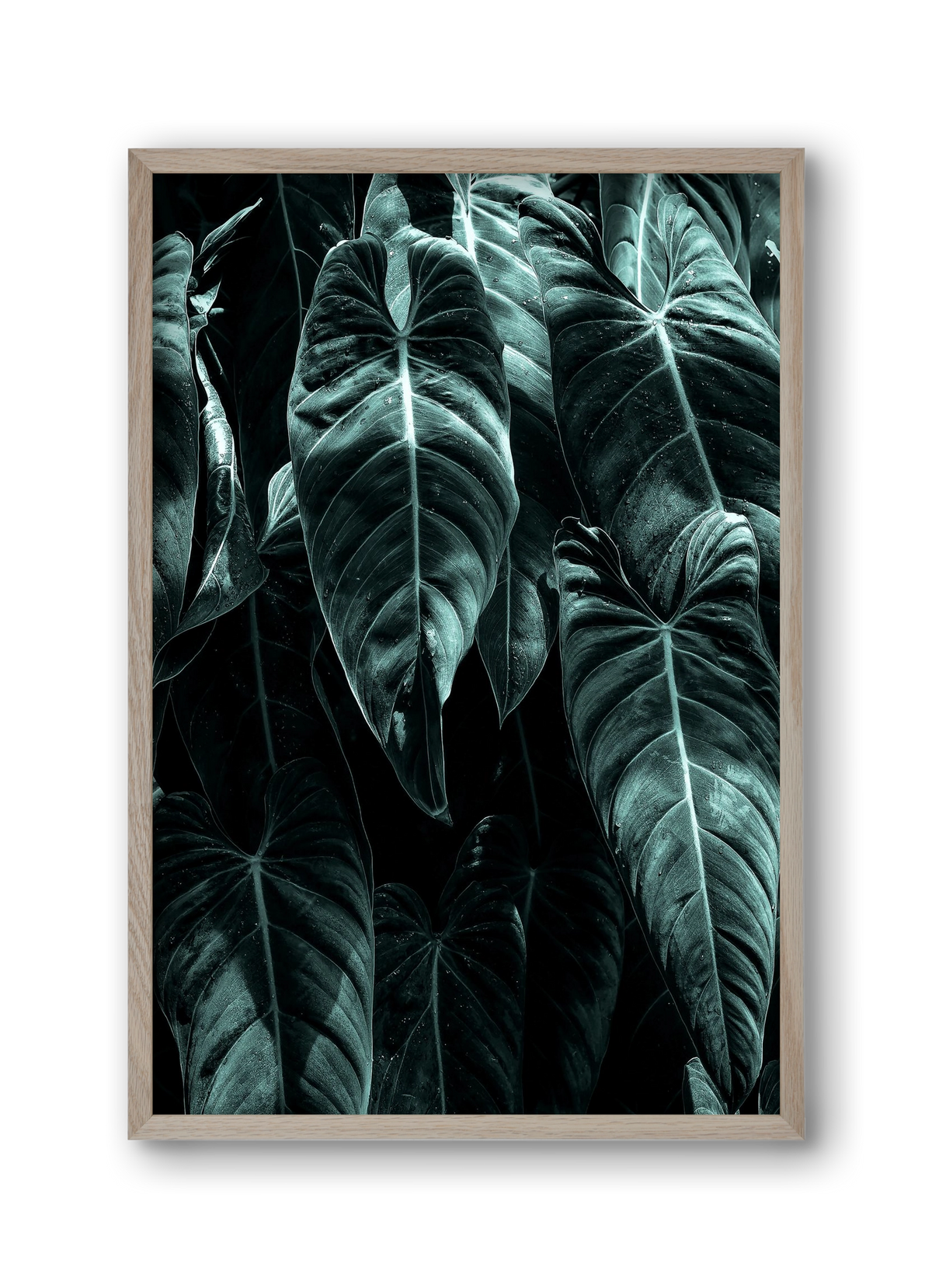 Jungle, 30x45 cm (30x45 cm), Tölgy keret