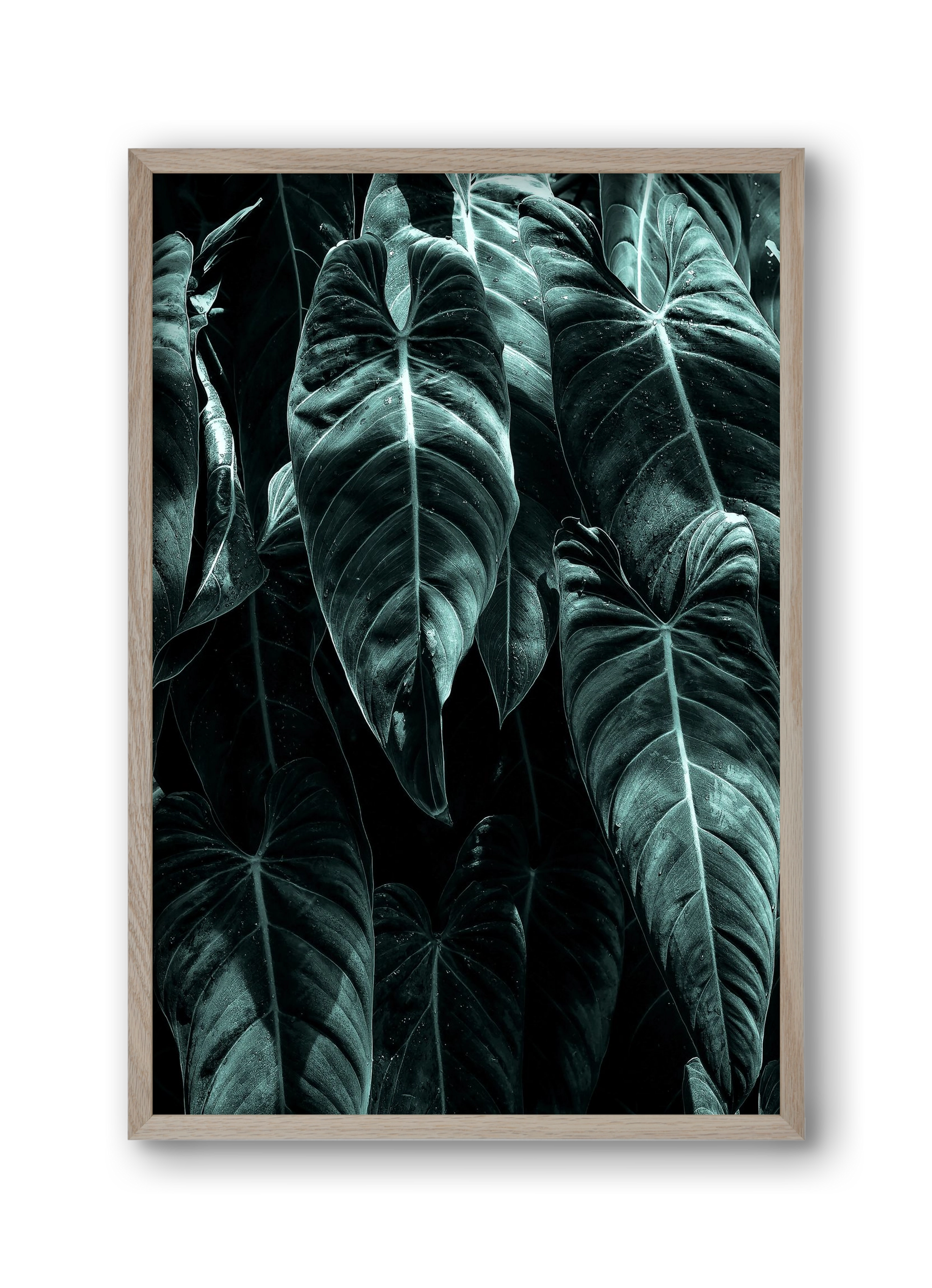 Jungle, 30x45 cm (30x45 cm), Tölgy keret