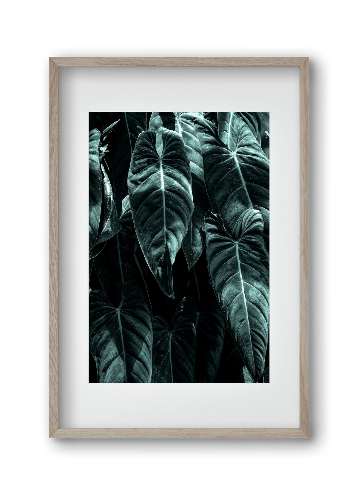 Jungle, 30x45 cm (20x30 cm), Tölgy keret, paszpartuval