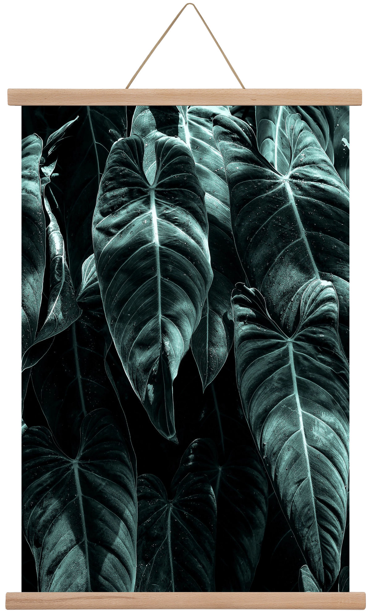 Jungle, 40x60 cm (40x60 cm), Tölgy akasztó