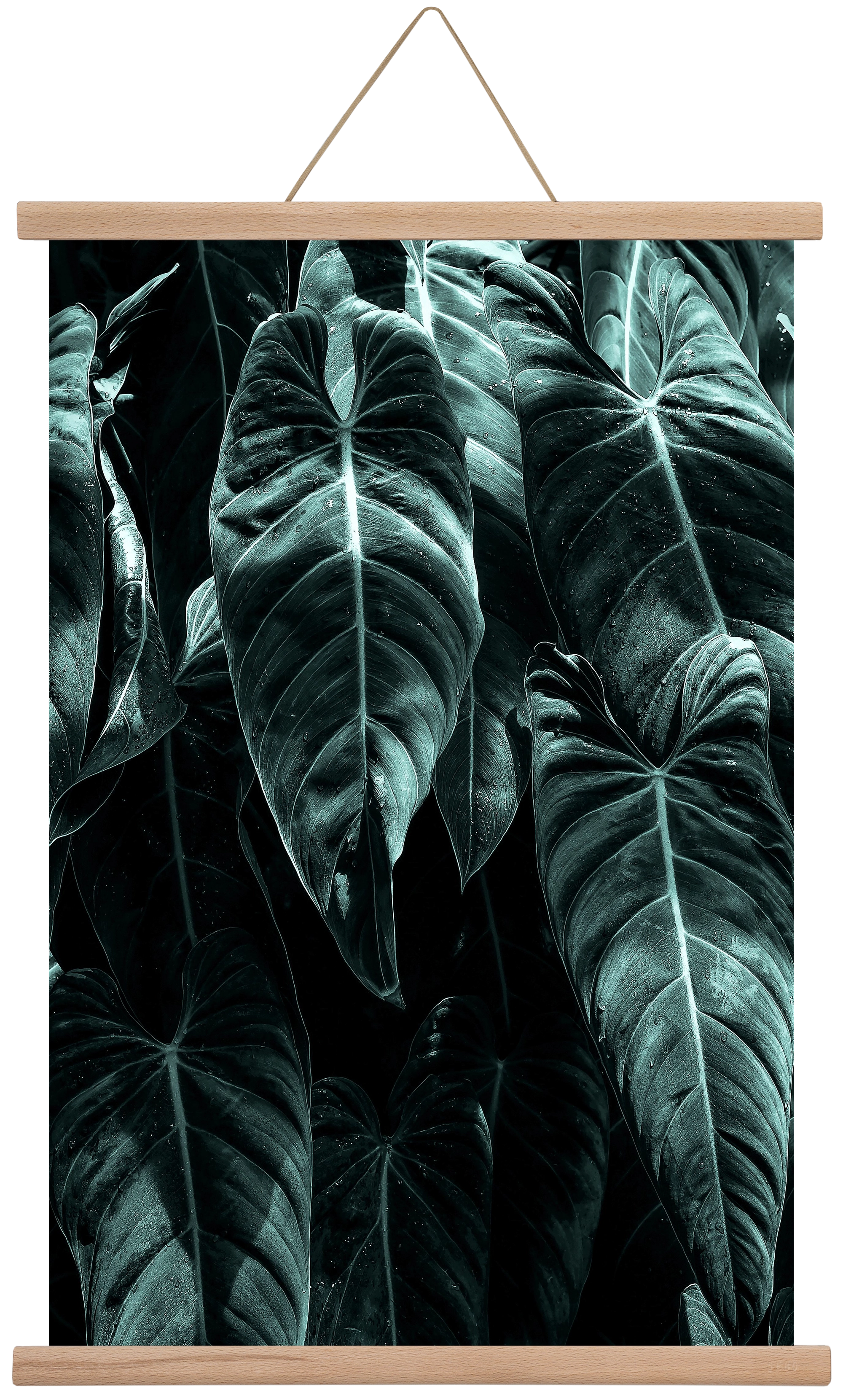 Jungle, 40x60 cm (40x60 cm), Tölgy akasztó