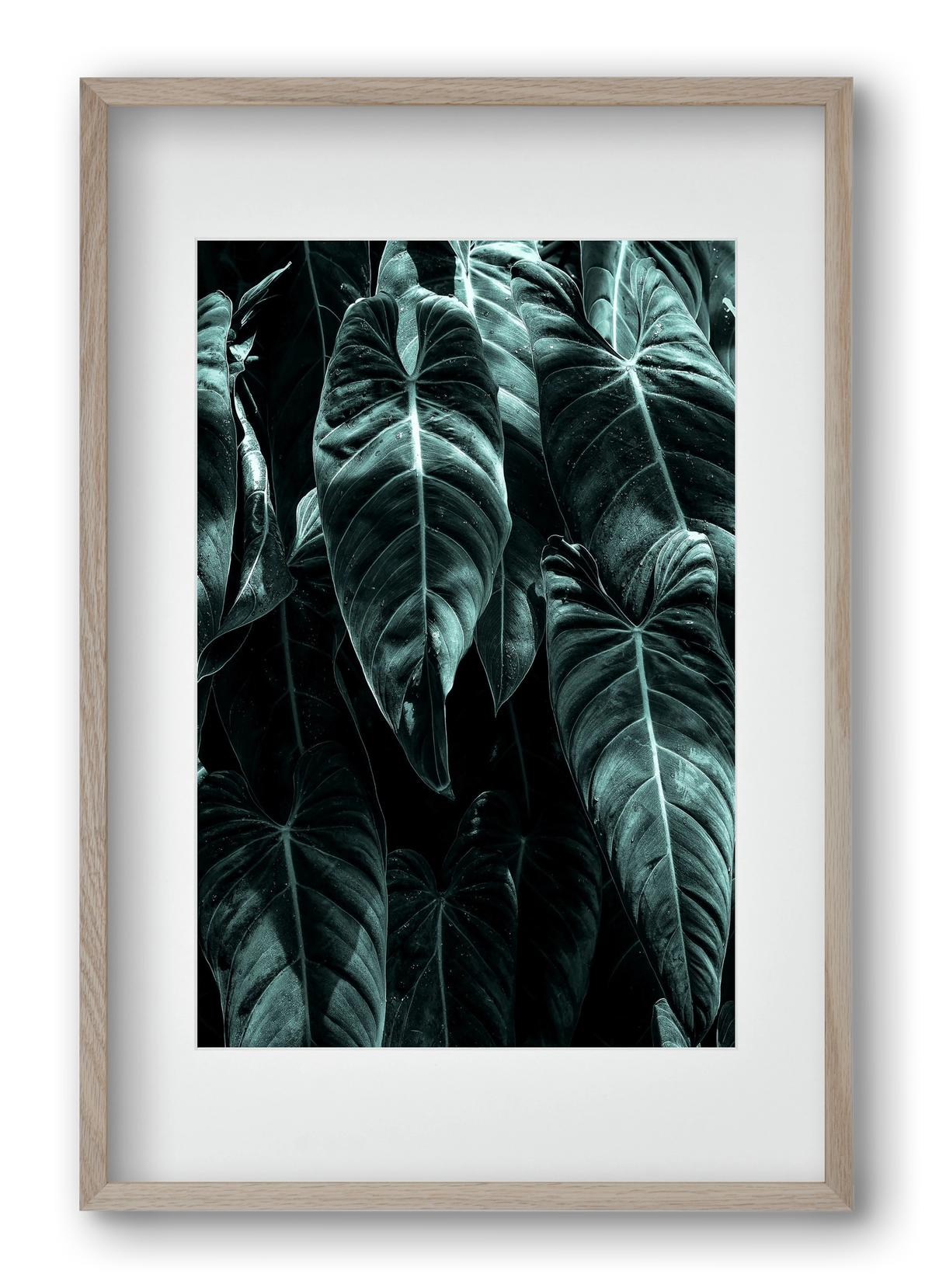 Jungle, 40x60 cm (30x45 cm), Tölgy keret, paszpartuval