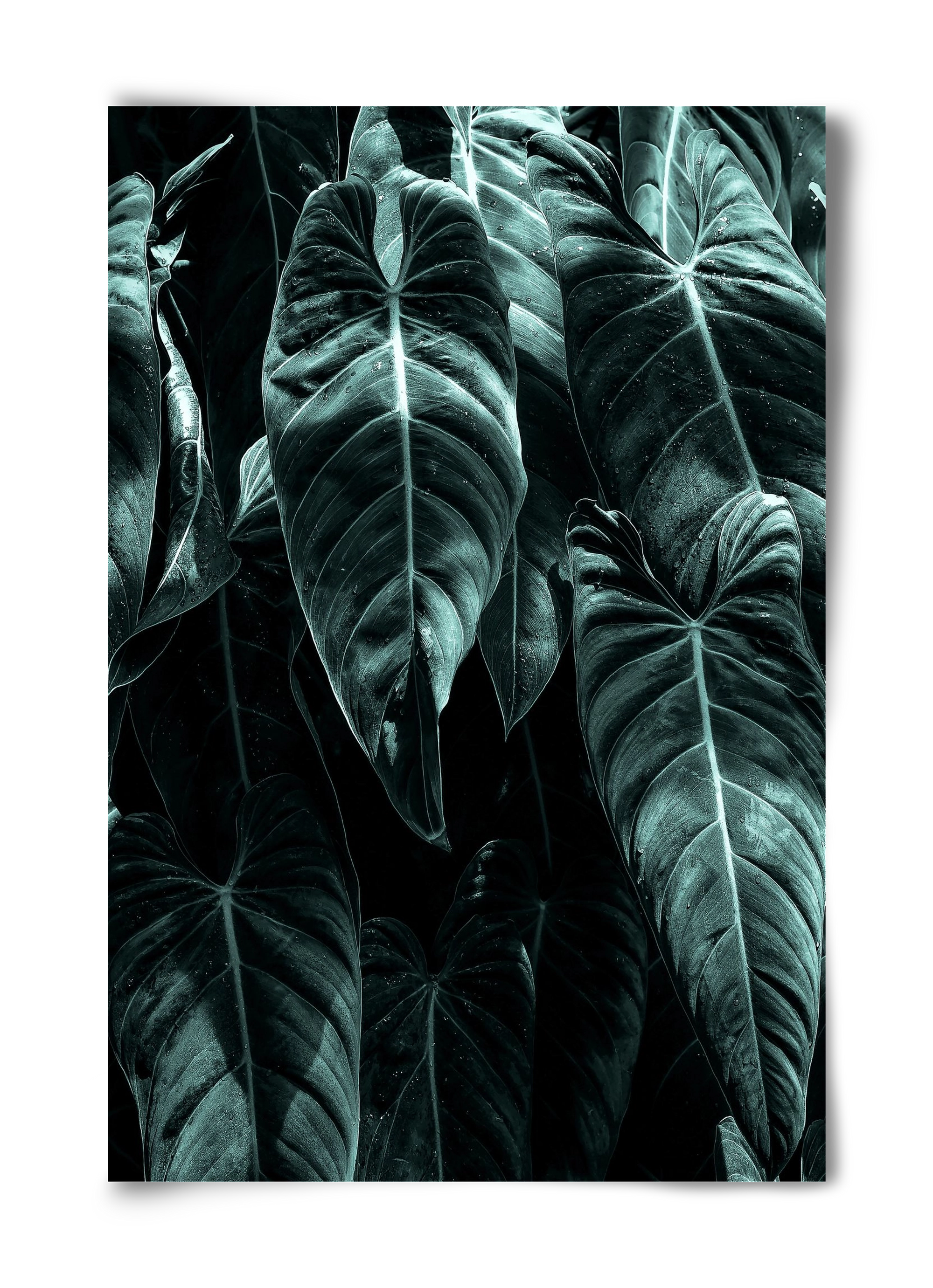 Jungle, 40x60 cm, Keret nélkül