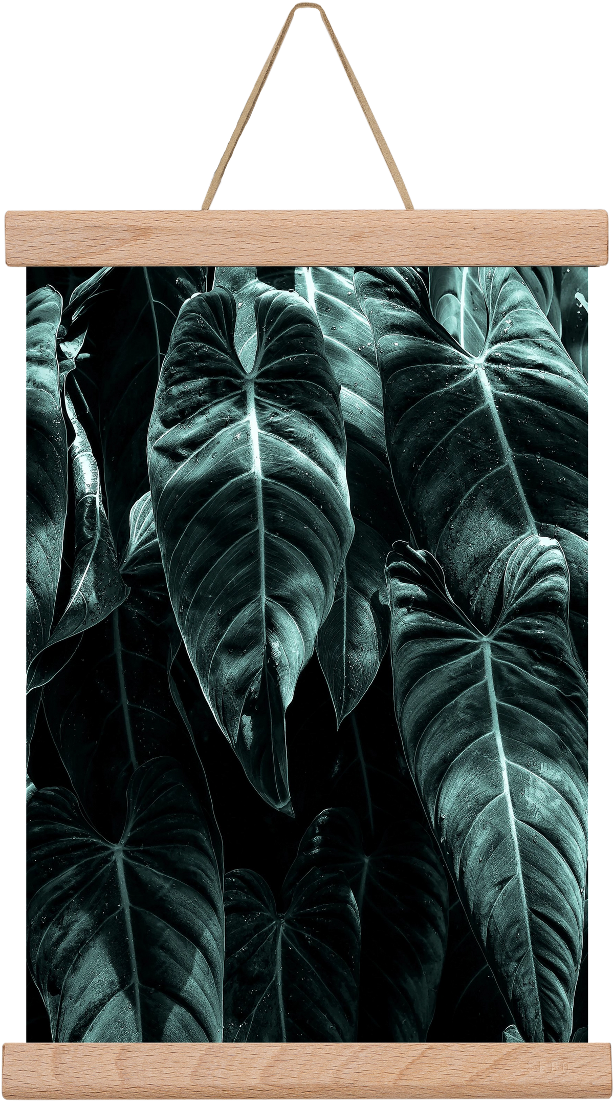 Jungle, 20x30 cm (20x30 cm), Tölgy akasztó