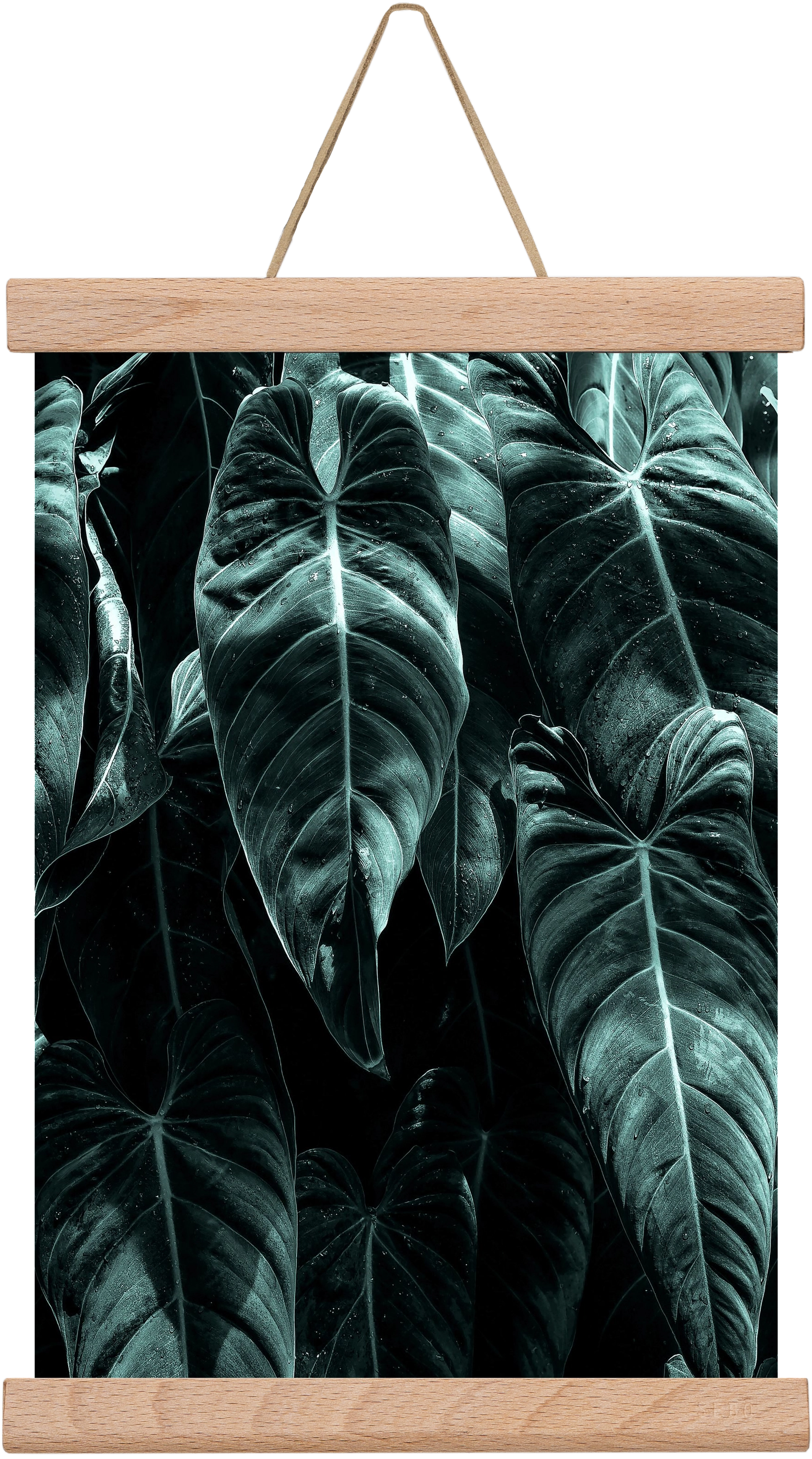 Jungle, 20x30 cm (20x30 cm), Tölgy akasztó