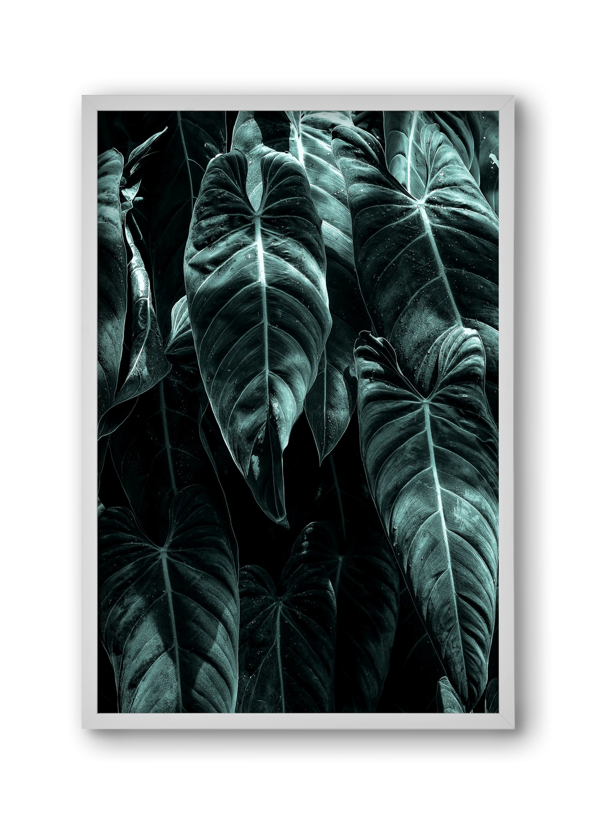 Jungle, 30x45 cm (30x45 cm), Fehér keret