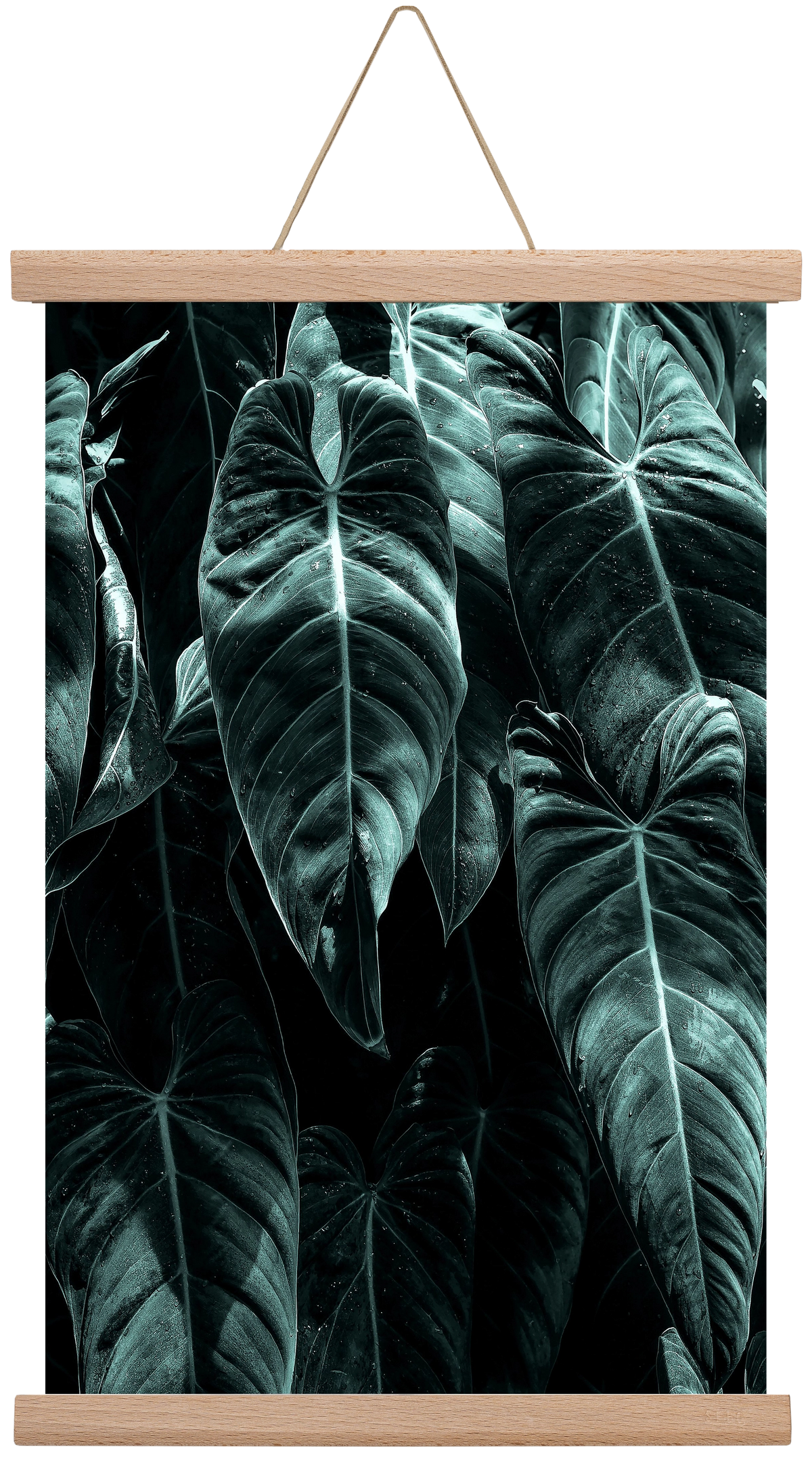 Jungle, 30x45 cm (30x45 cm), Tölgy akasztó