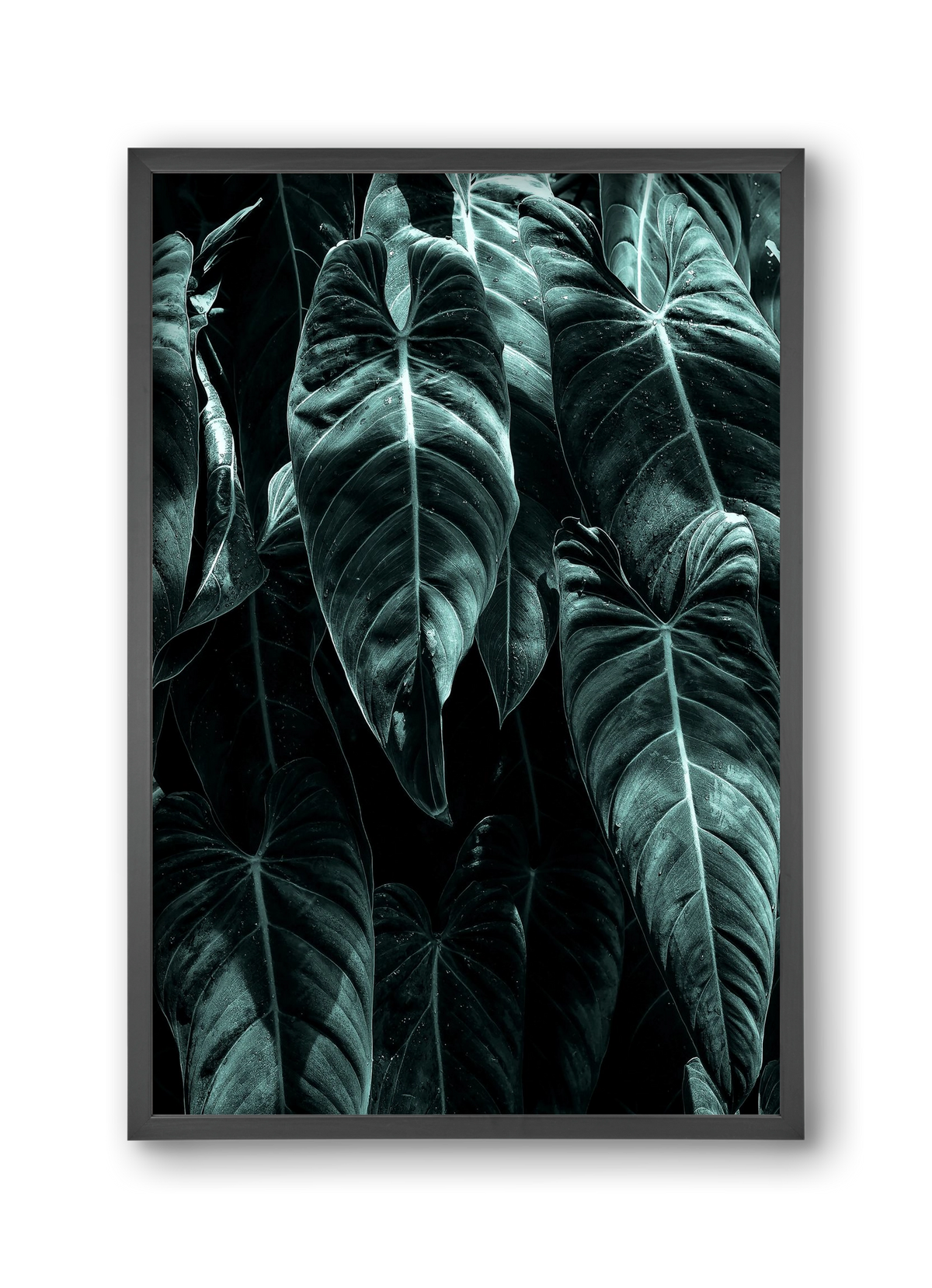 Jungle, 30x45 cm (30x45 cm), Fekete keret