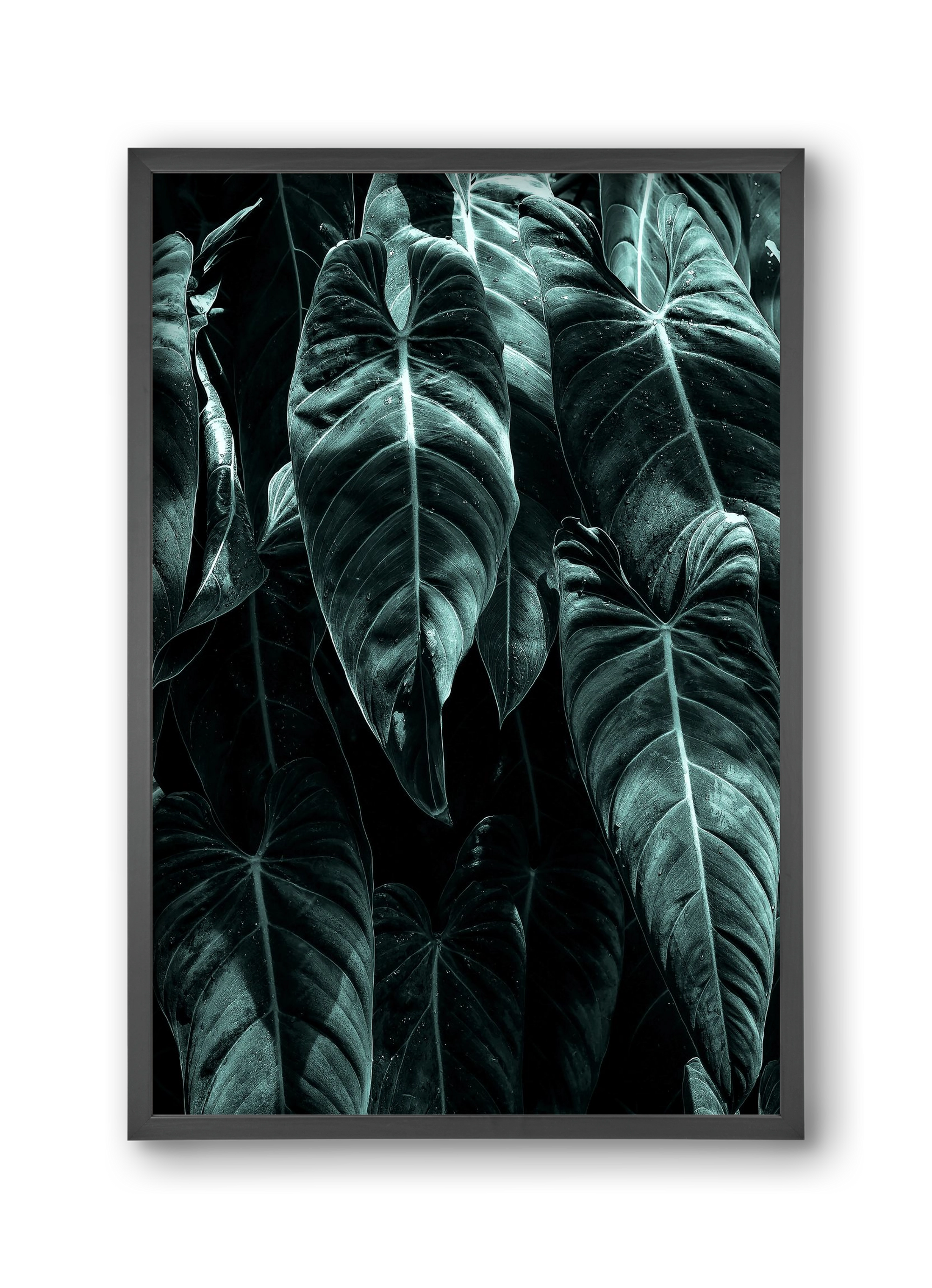 Jungle, 30x45 cm (30x45 cm), Fekete keret