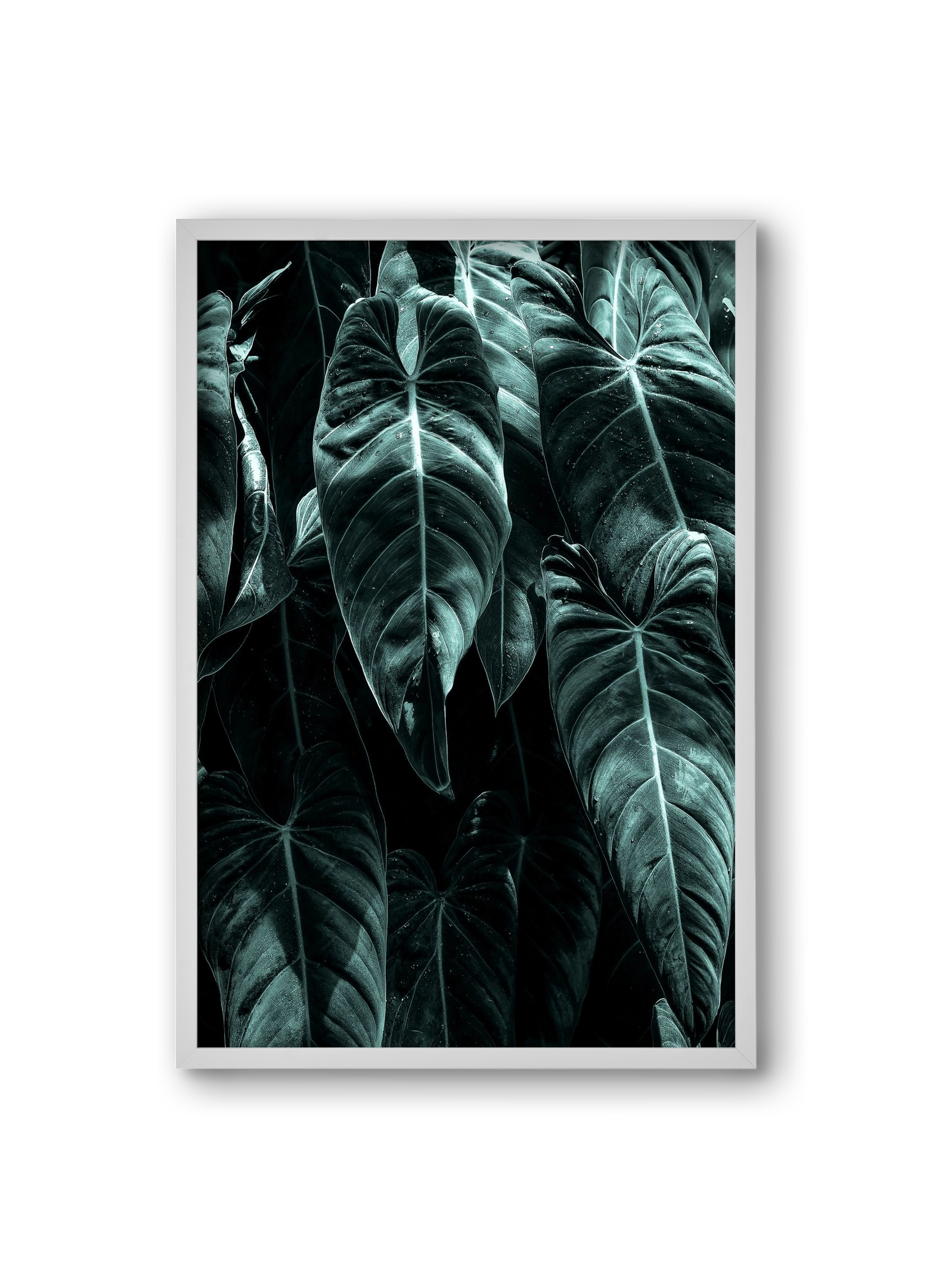 Jungle, 20x30 cm (20x30 cm), Fehér keret