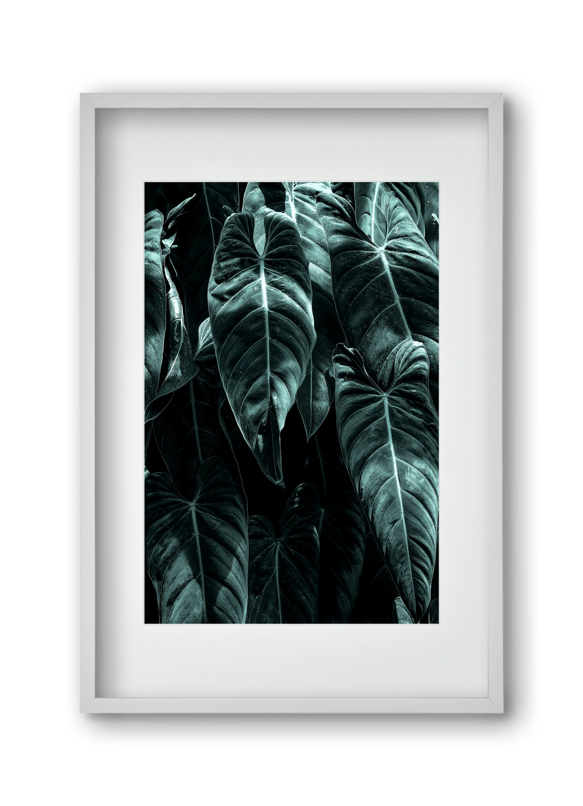 Jungle, 30x45 cm (20x30 cm), Fehér keret, paszpartuval