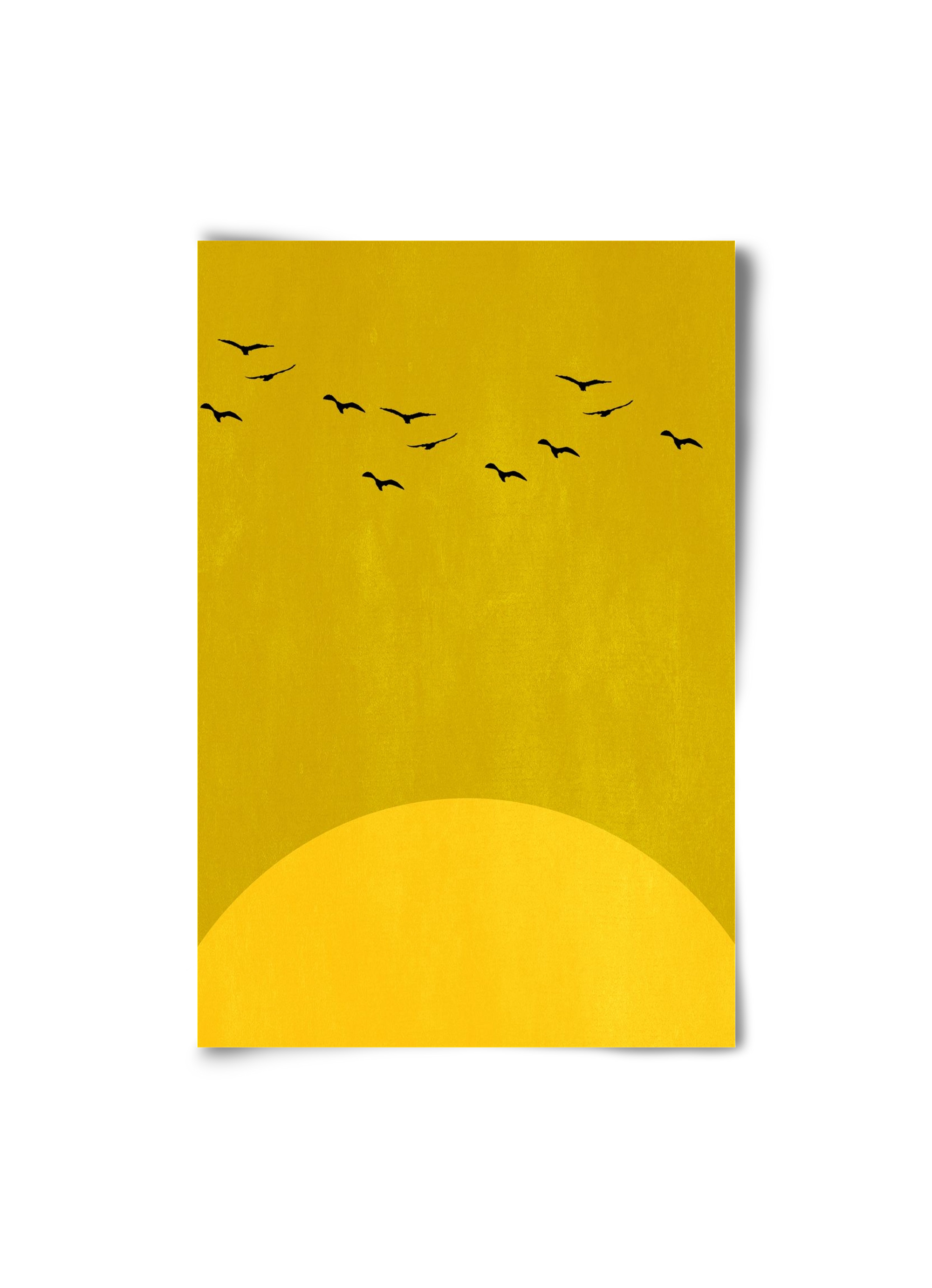 Sundance, 20x30 cm, Keret nélkül