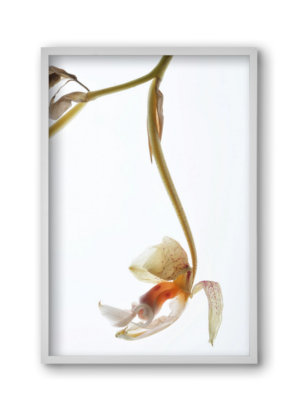 Arch angle, 30x45 cm (30x45 cm), Fehér keret