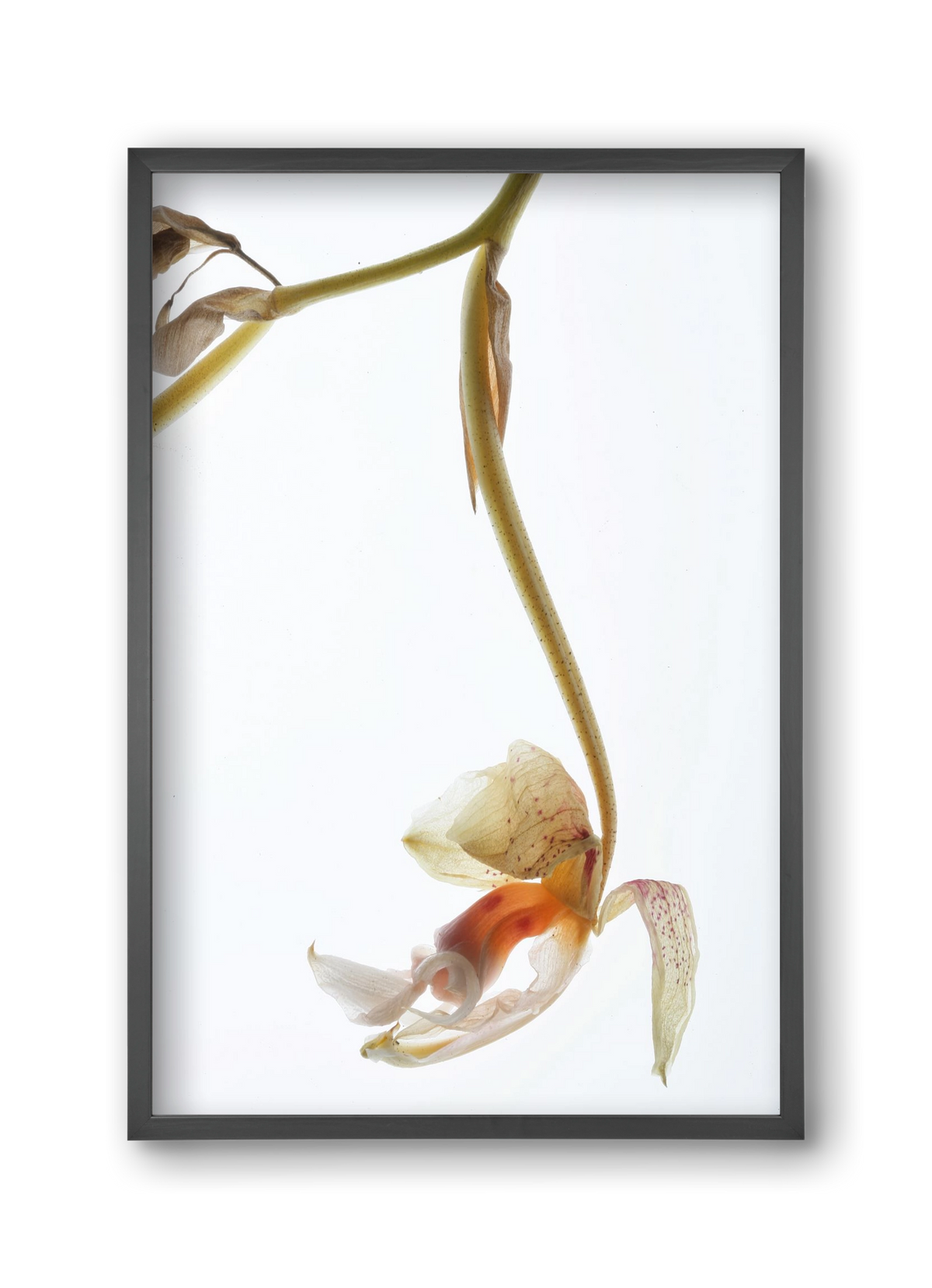 Arch angle, 30x45 cm (30x45 cm), Fekete keret