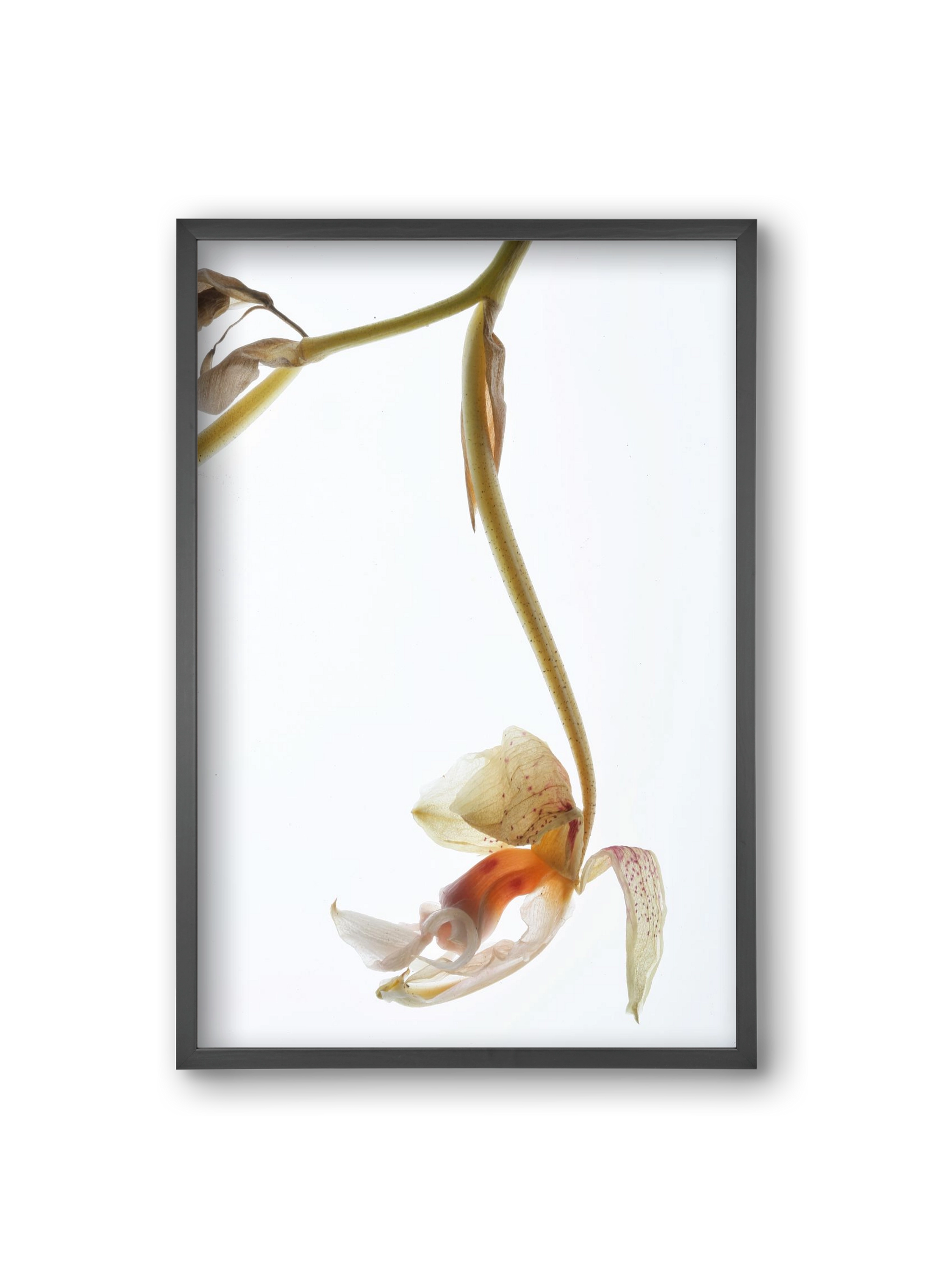 Arch angle, 20x30 cm (20x30 cm), Fekete keret