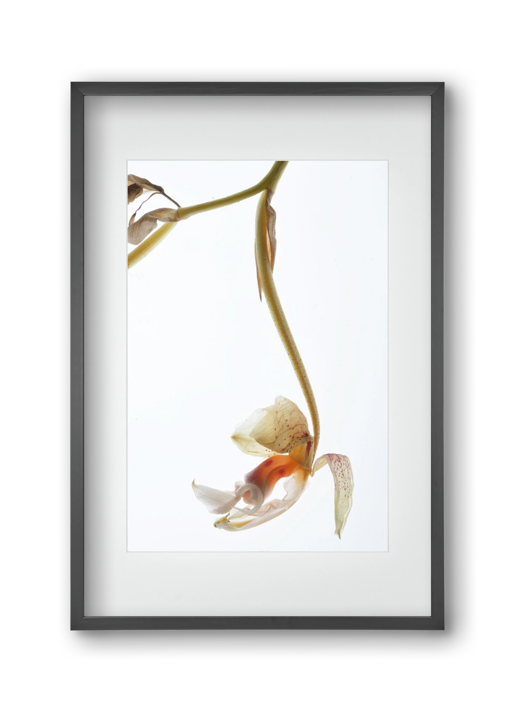 Arch angle, 30x45 cm (20x30 cm), Fekete keret, paszpartuval