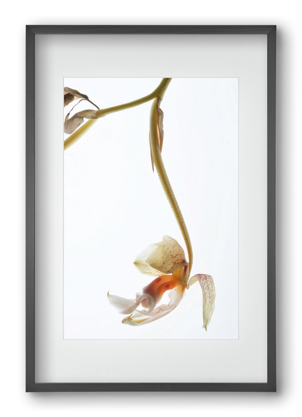 Arch angle, 40x60 cm (30x45 cm), Fekete keret, paszpartuval