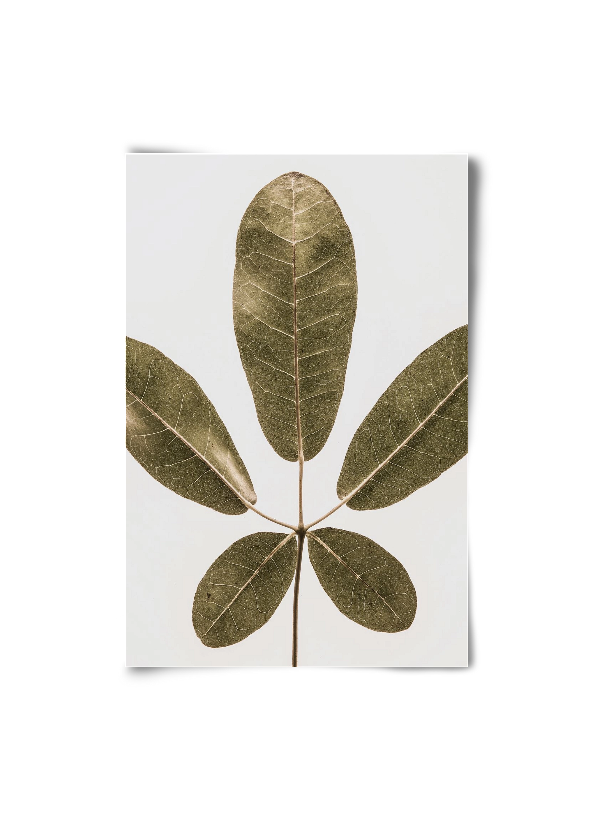 Autumn leaf, 20x30 cm, Keret nélkül