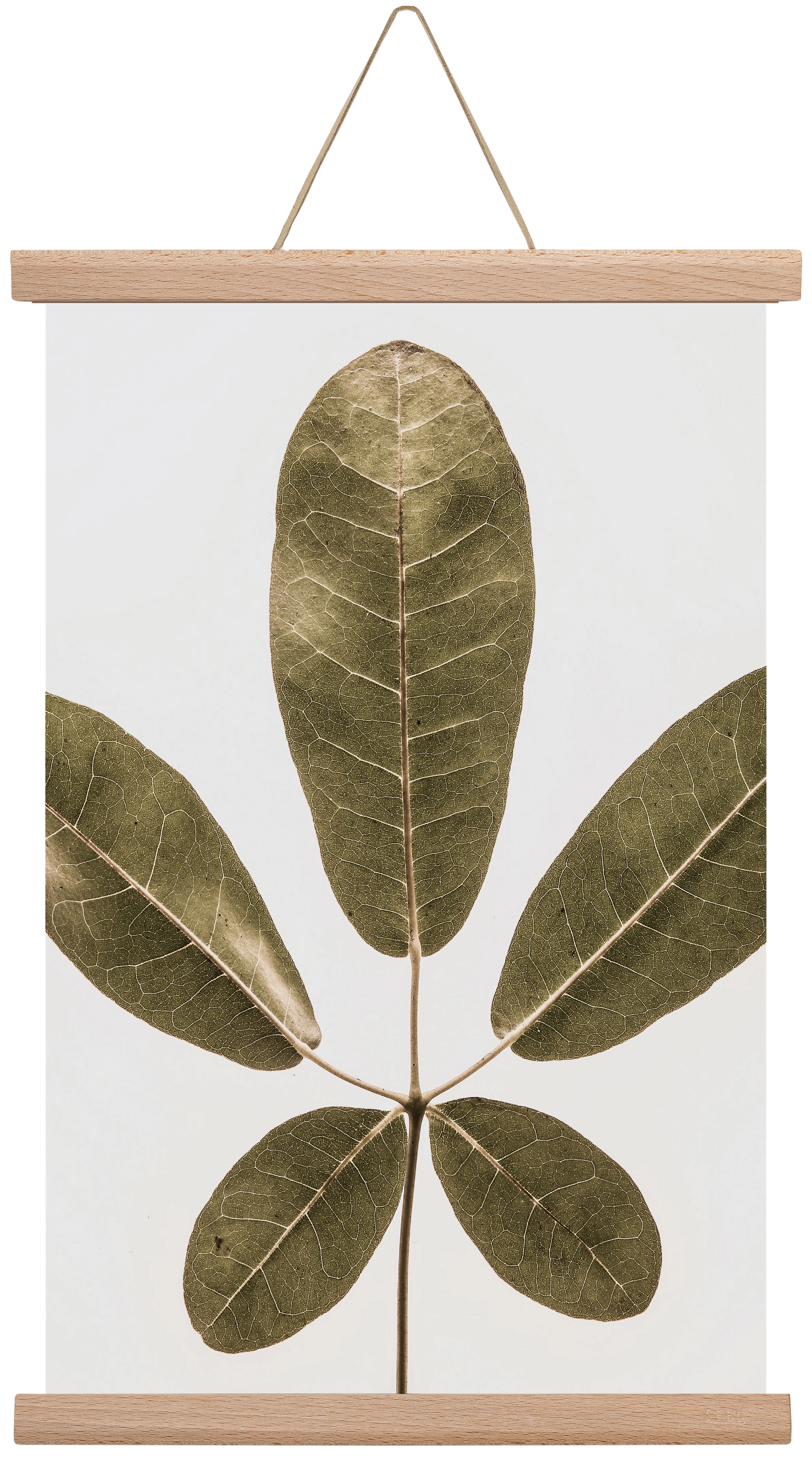 Autumn leaf, 30x45 cm (30x45 cm), Tölgy akasztó