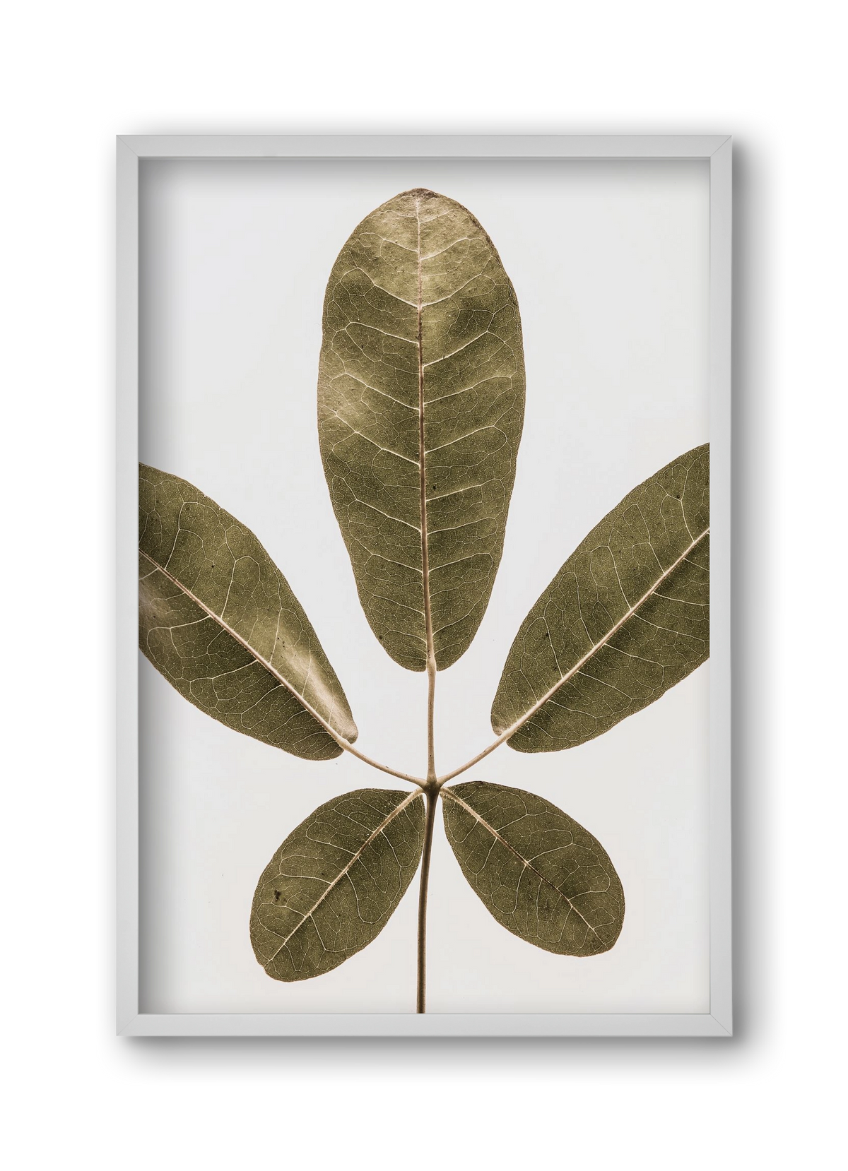 Autumn leaf, 30x45 cm (30x45 cm), Fehér keret