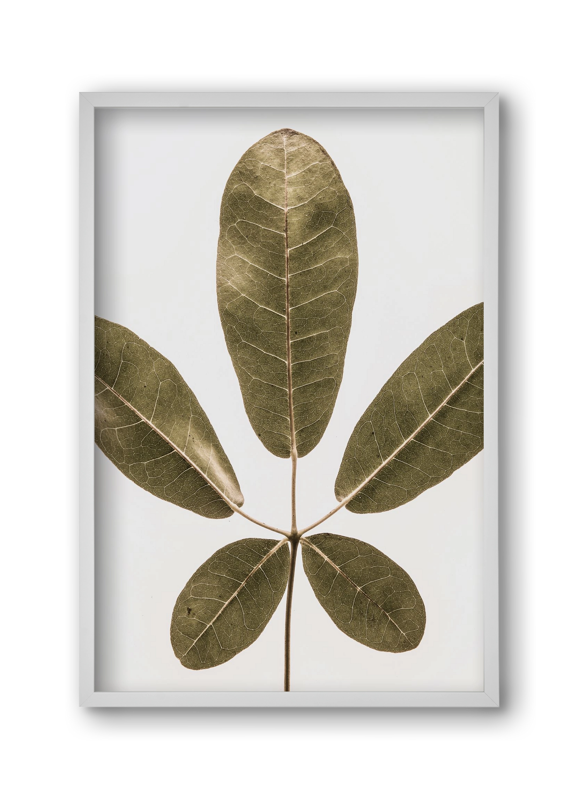 Autumn leaf, 30x45 cm (30x45 cm), Fehér keret