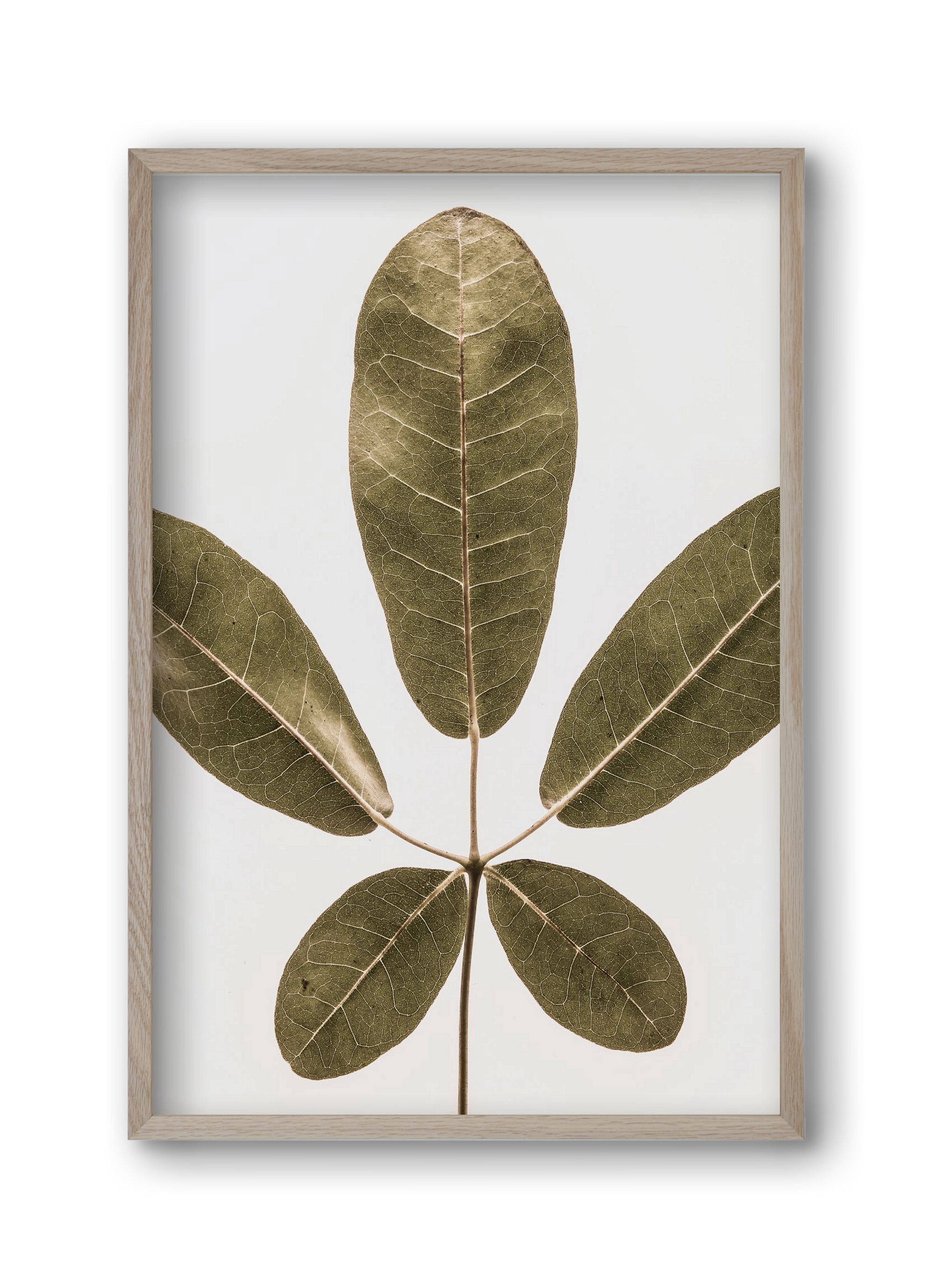 Autumn leaf, 30x45 cm (30x45 cm), Tölgy keret