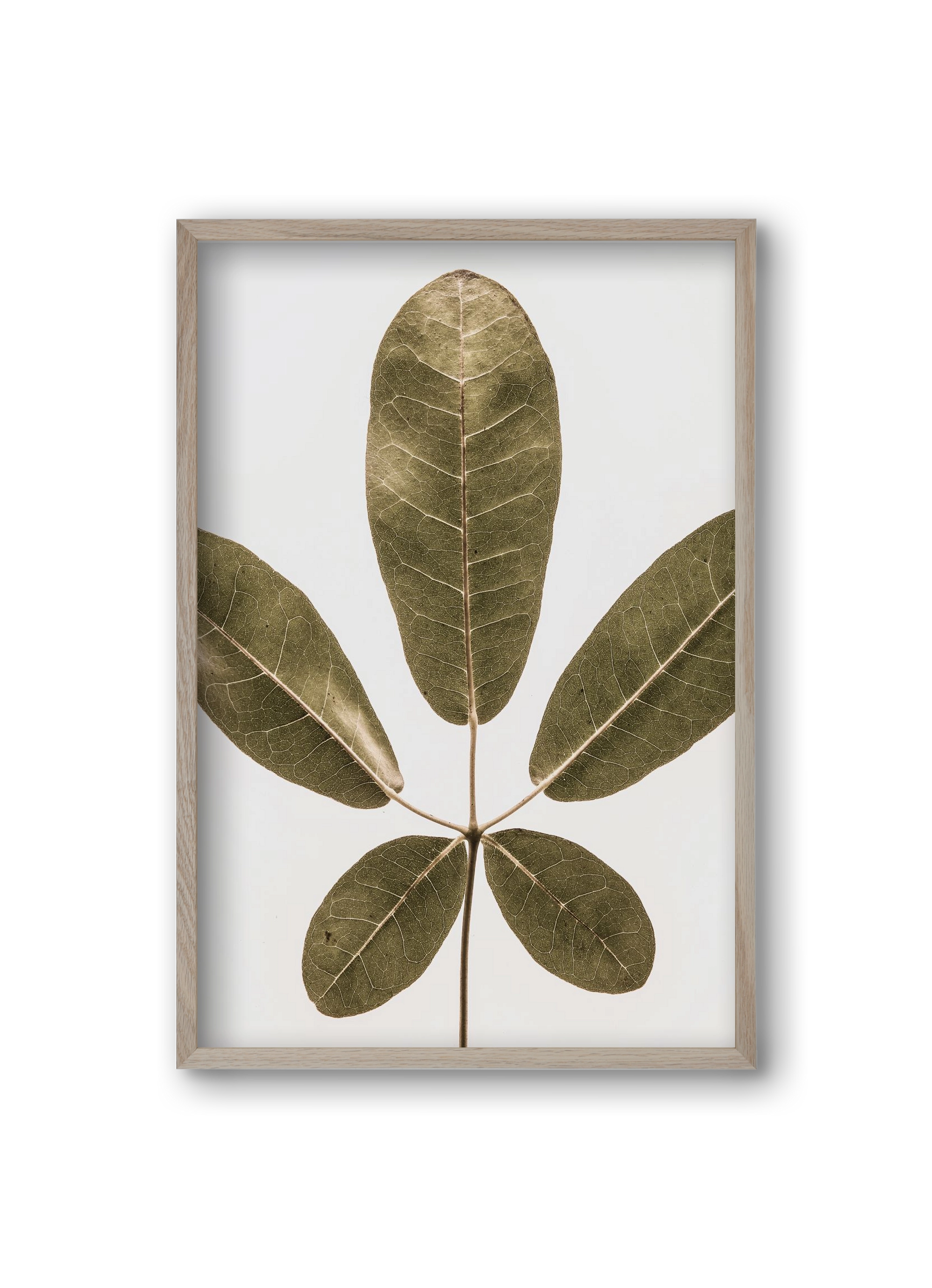 Autumn leaf, 20x30 cm (20x30 cm), Tölgy keret