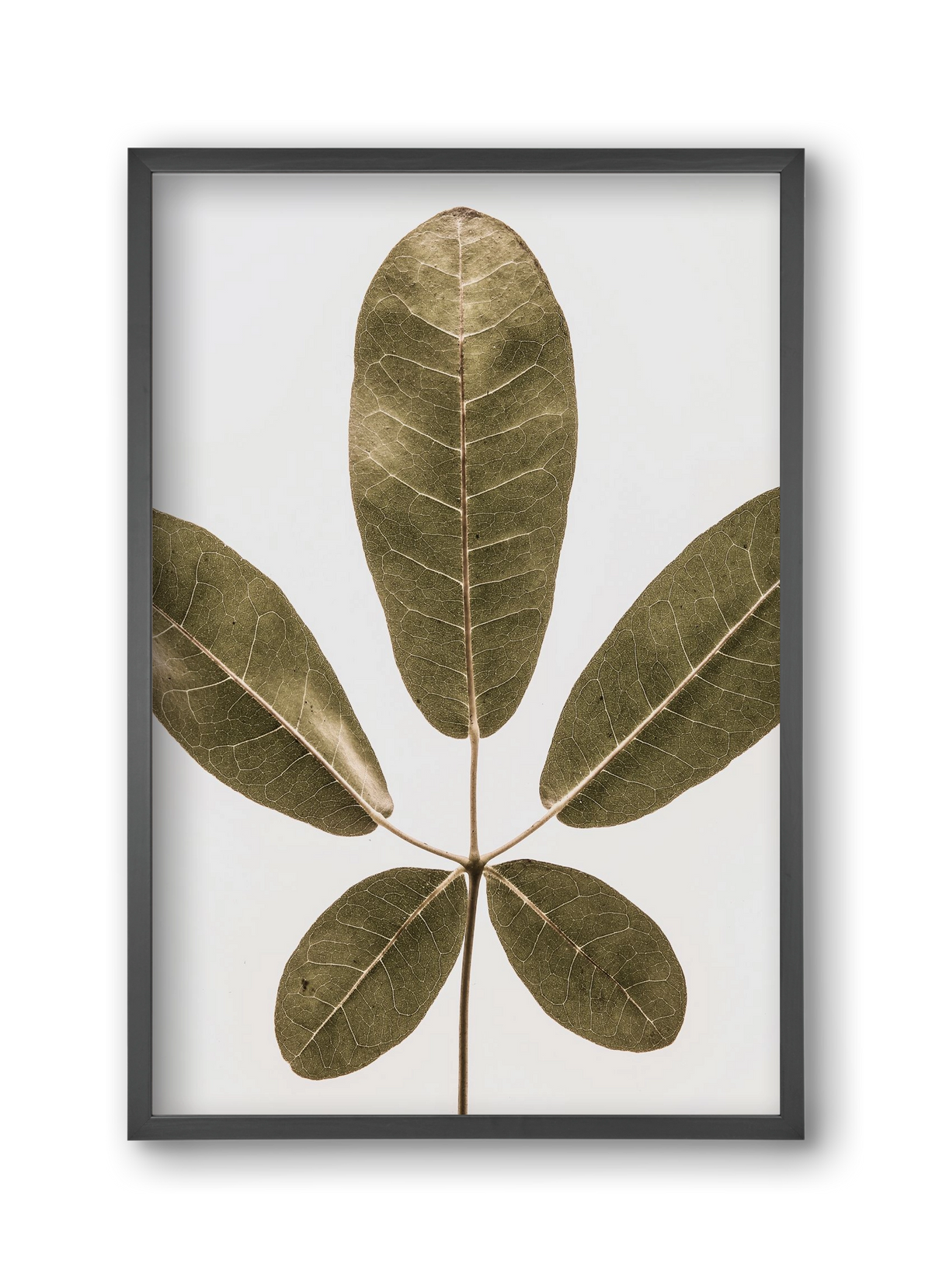 Autumn leaf, 30x45 cm (30x45 cm), Fekete keret