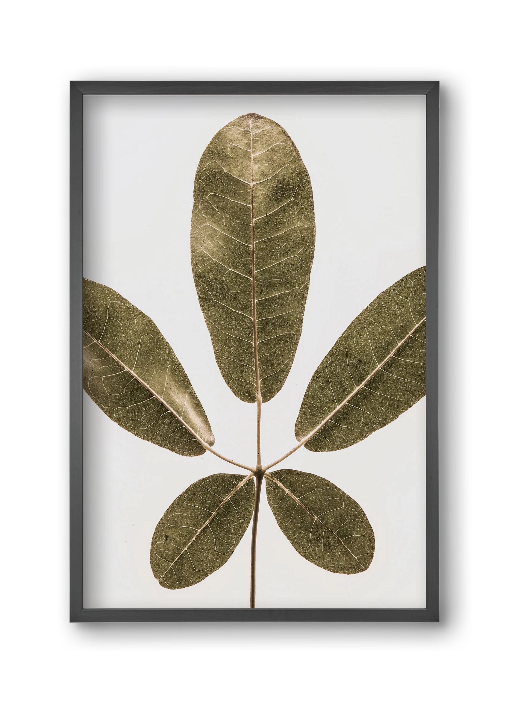 Autumn leaf, 30x45 cm (30x45 cm), Fekete keret