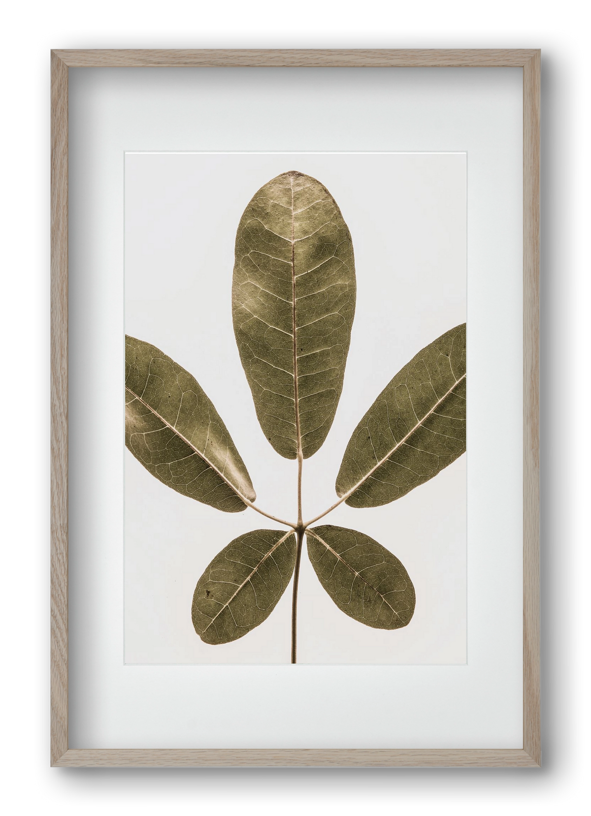 Autumn leaf, 40x60 cm (30x45 cm), Tölgy keret, paszpartuval