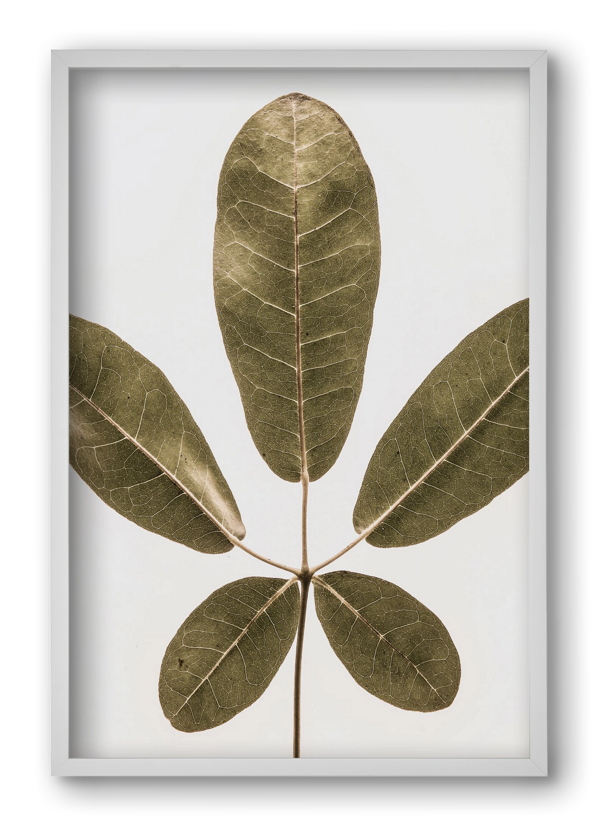 Autumn leaf, 40x60 cm (40x60 cm), Fehér keret