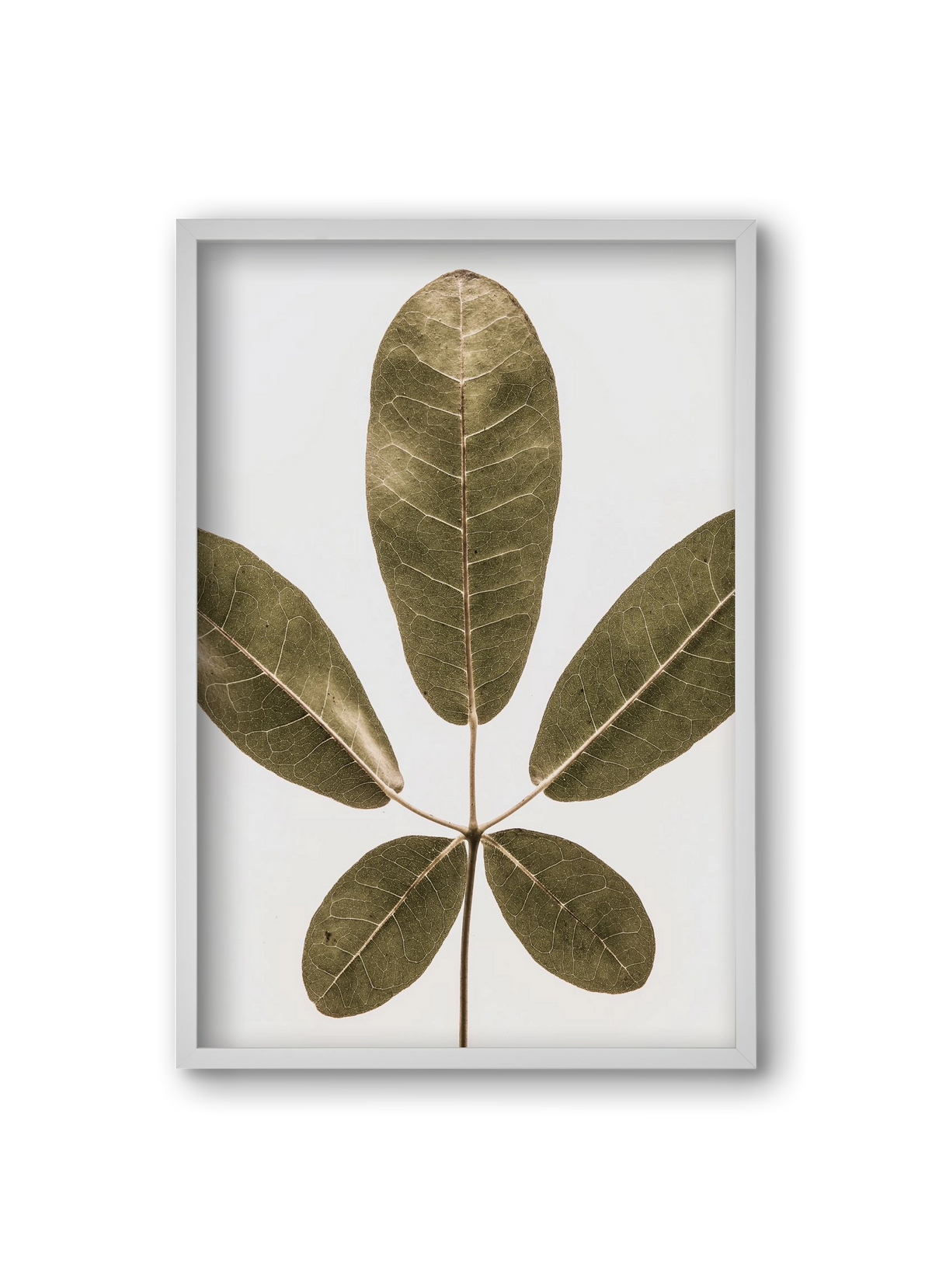 Autumn leaf, 20x30 cm (20x30 cm), Fehér keret