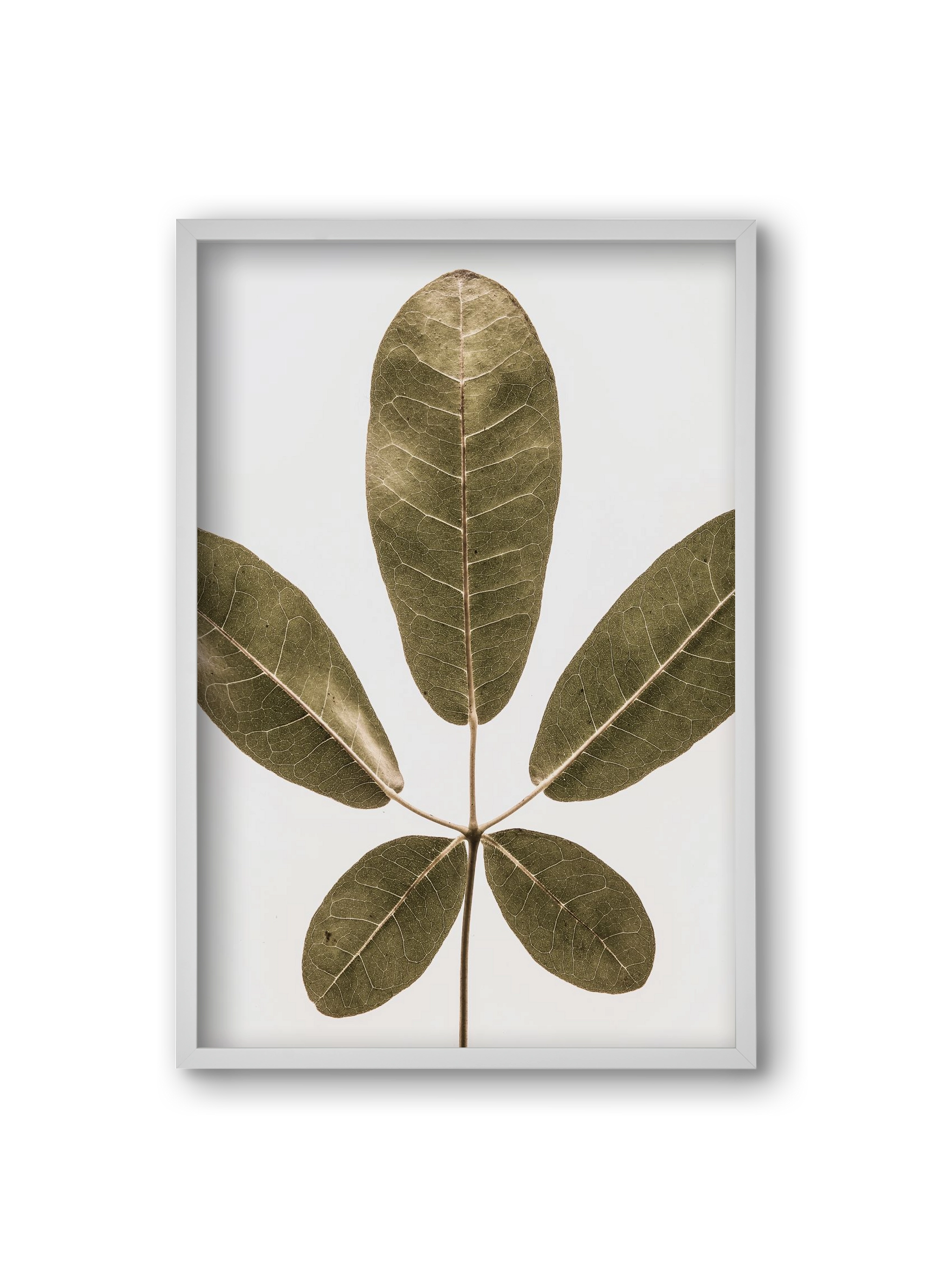 Autumn leaf, 20x30 cm (20x30 cm), Fehér keret