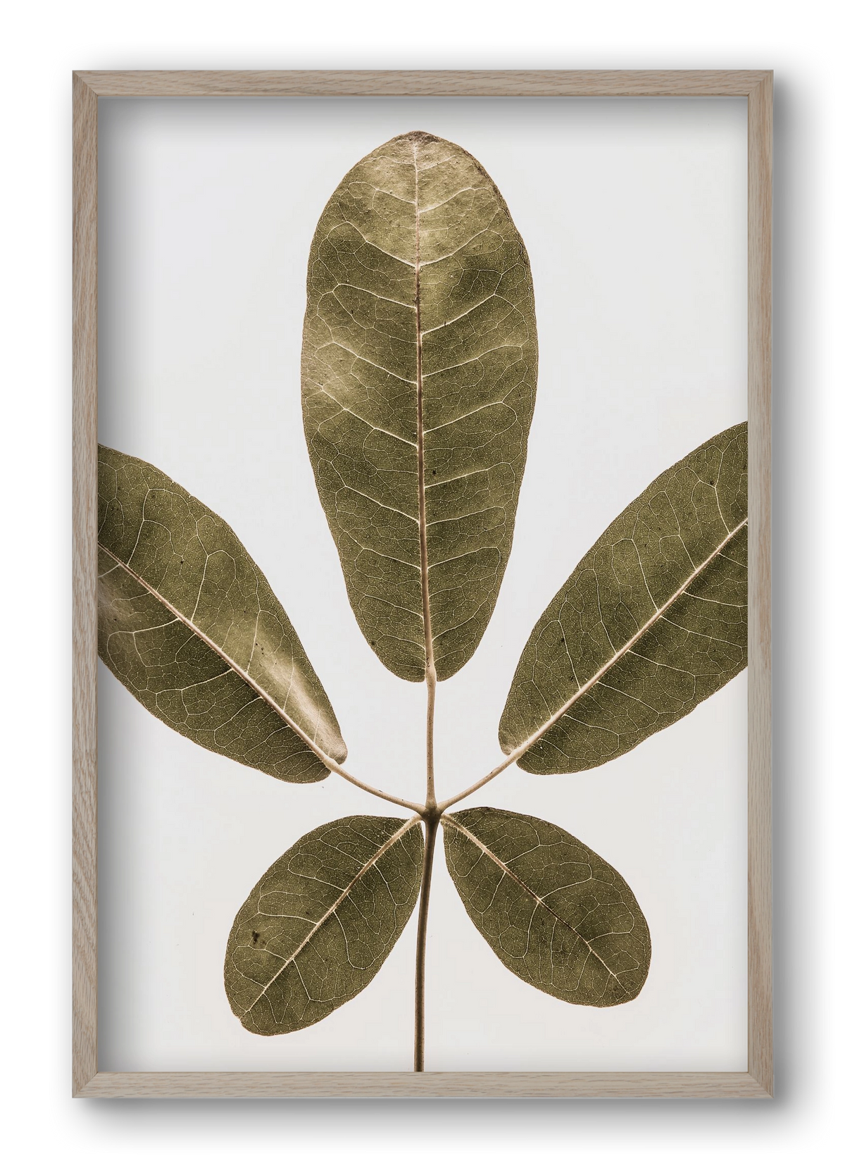 Autumn leaf, 40x60 cm (40x60 cm), Tölgy keret