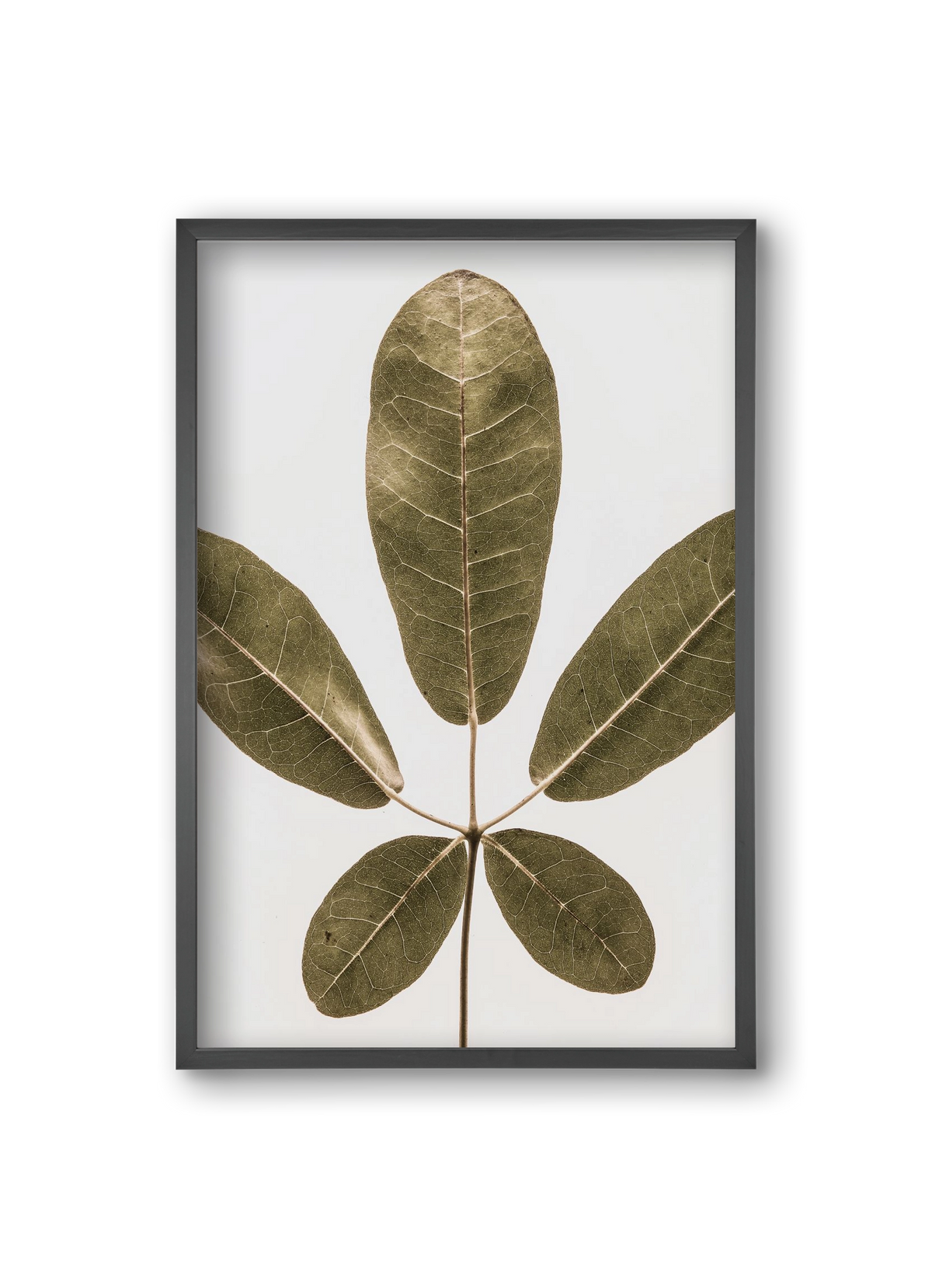 Autumn leaf, 20x30 cm (20x30 cm), Fekete keret