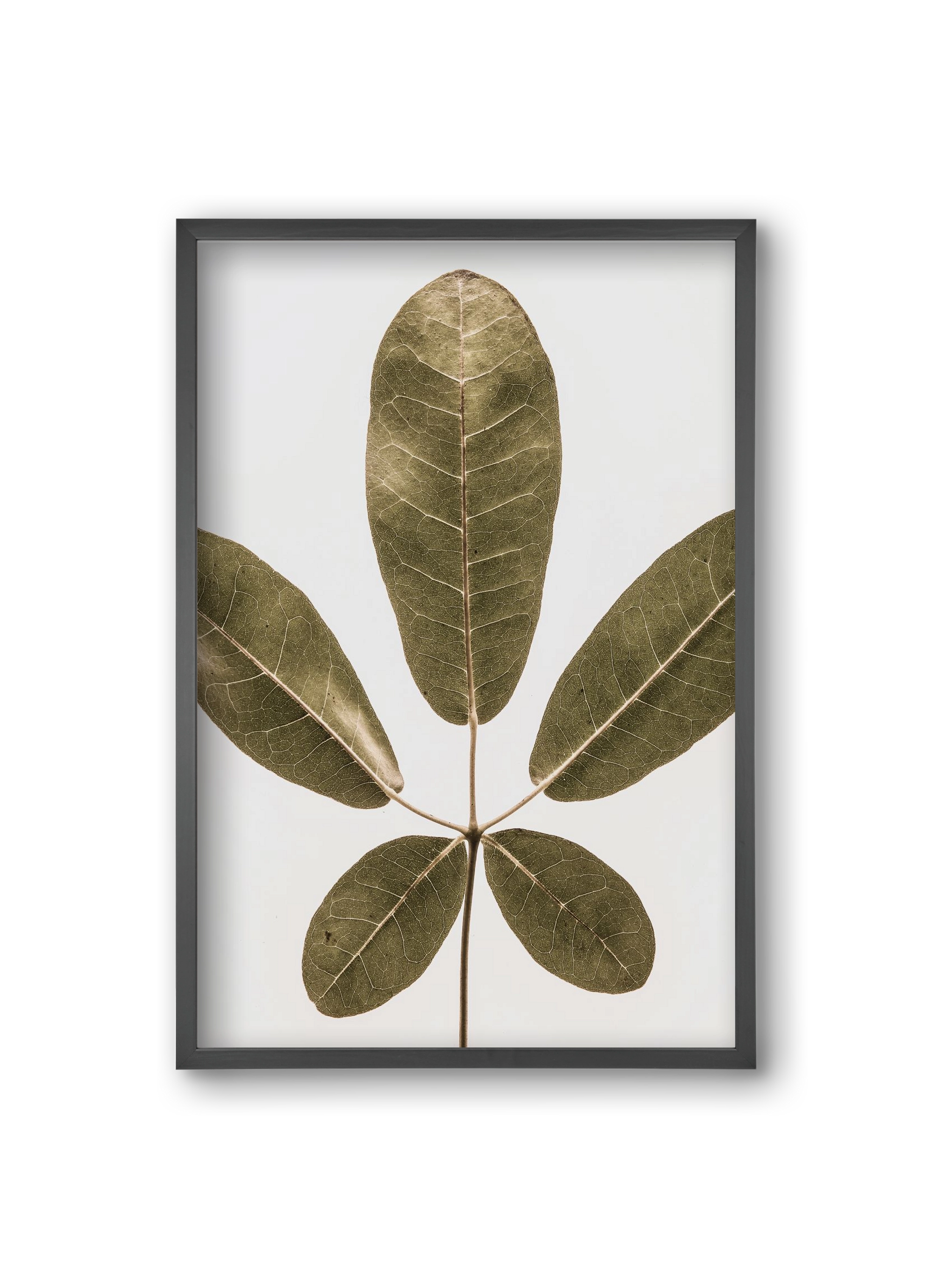 Autumn leaf, 20x30 cm (20x30 cm), Fekete keret