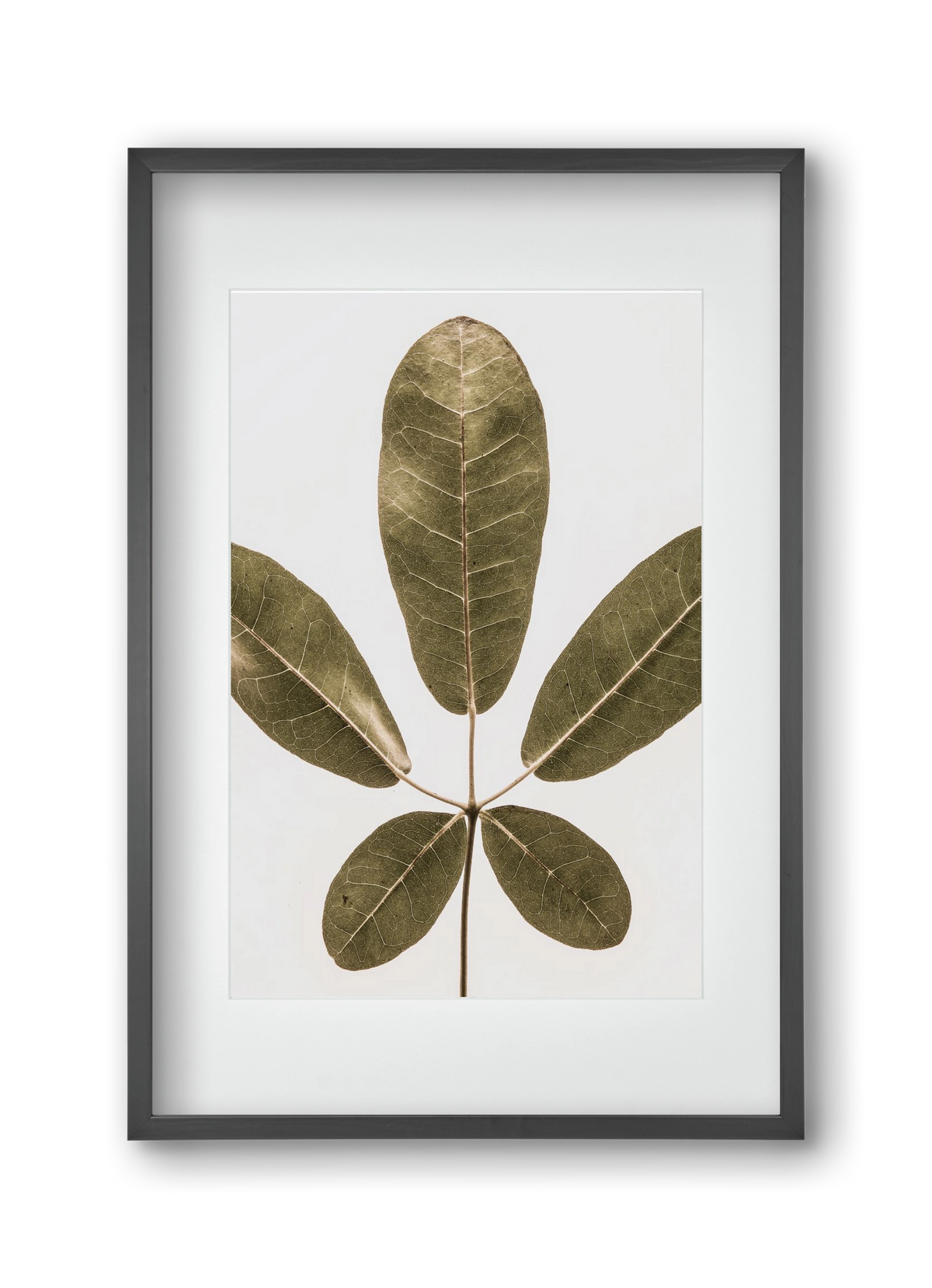 Autumn leaf, 30x45 cm (20x30 cm), Fekete keret, paszpartuval