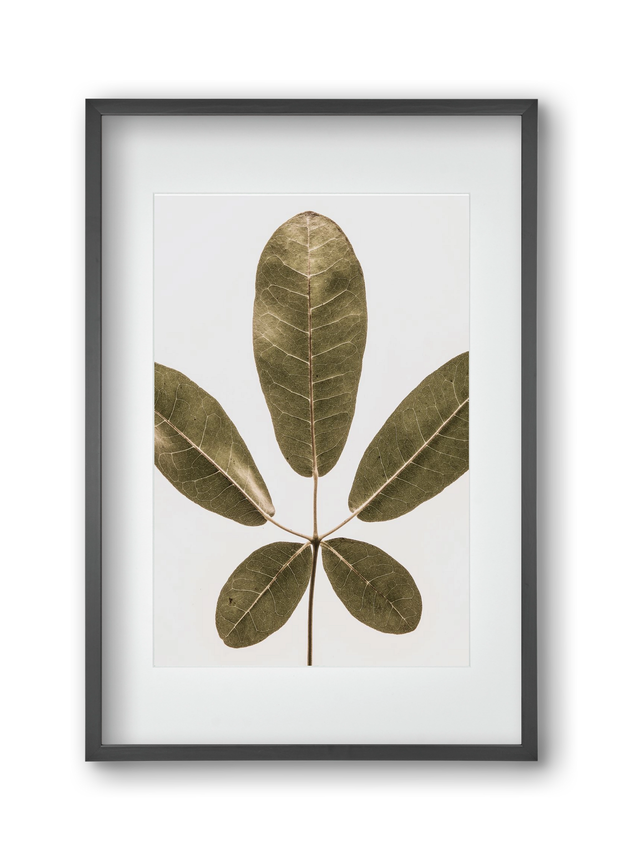 Autumn leaf, 30x45 cm (20x30 cm), Fekete keret, paszpartuval