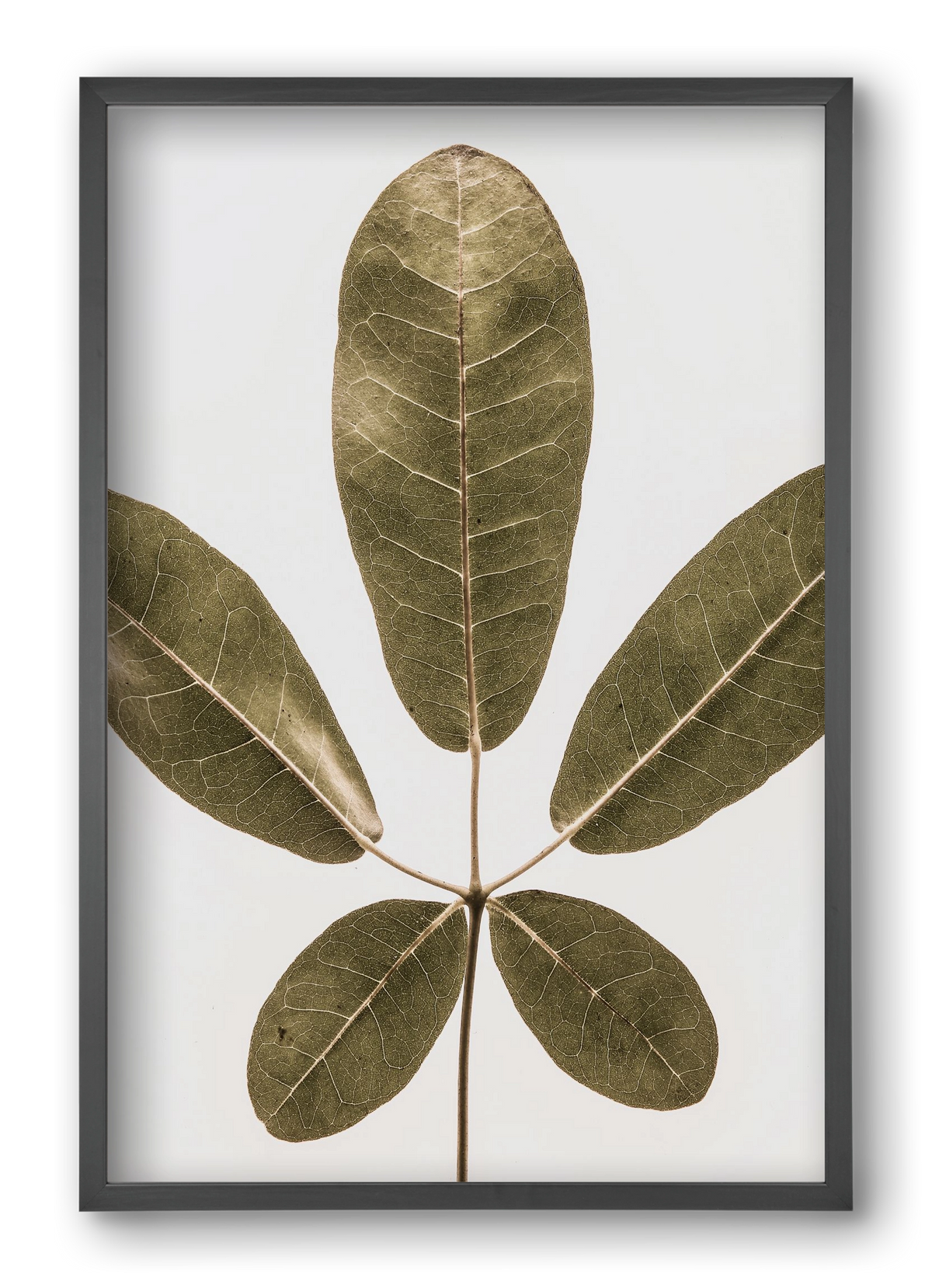 Autumn leaf, 40x60 cm (40x60 cm), Fekete keret