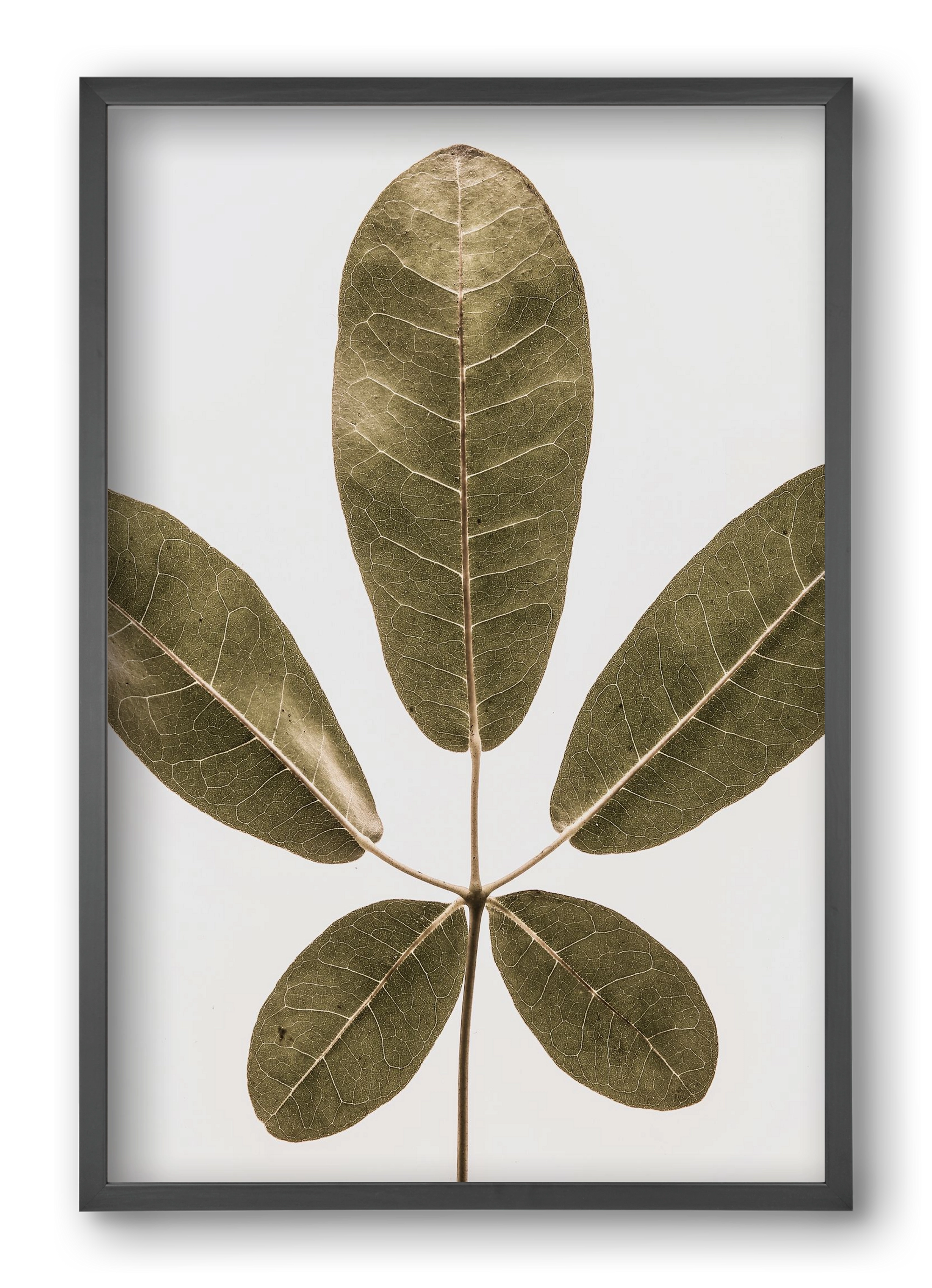 Autumn leaf, 40x60 cm (40x60 cm), Fekete keret