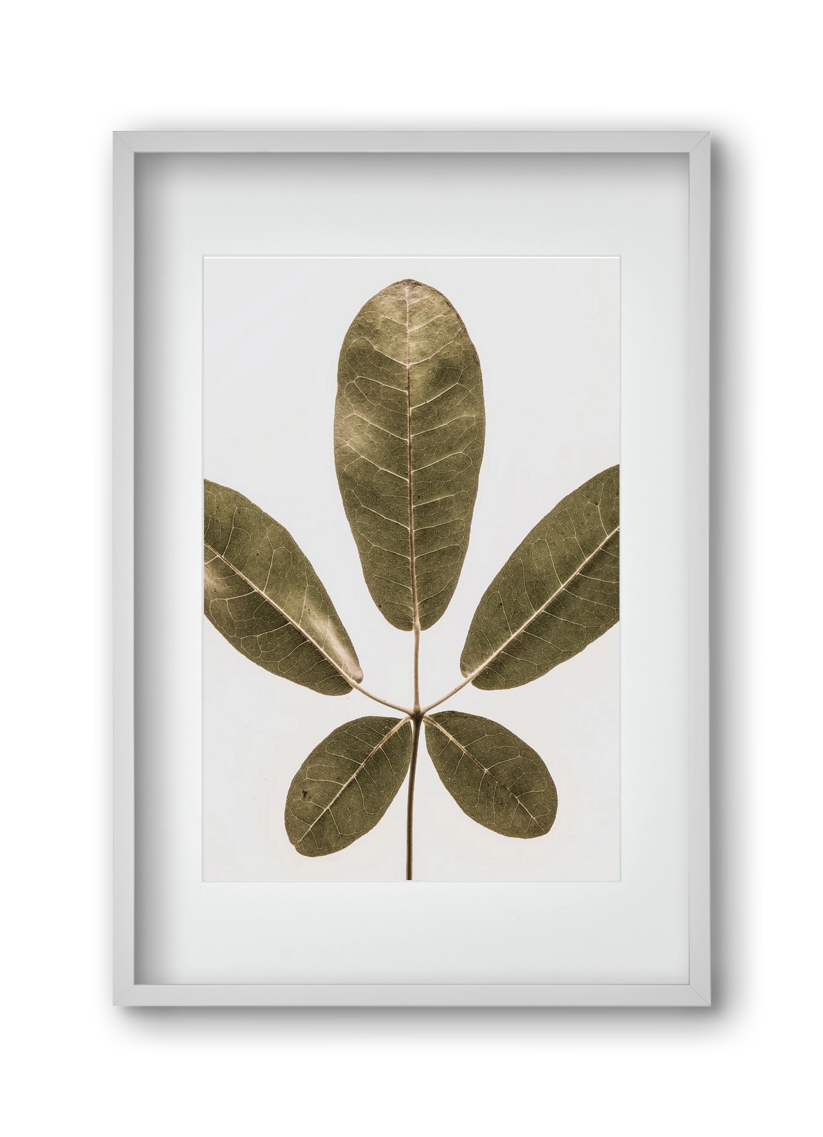 Autumn leaf, 30x45 cm (20x30 cm), Fehér keret, paszpartuval